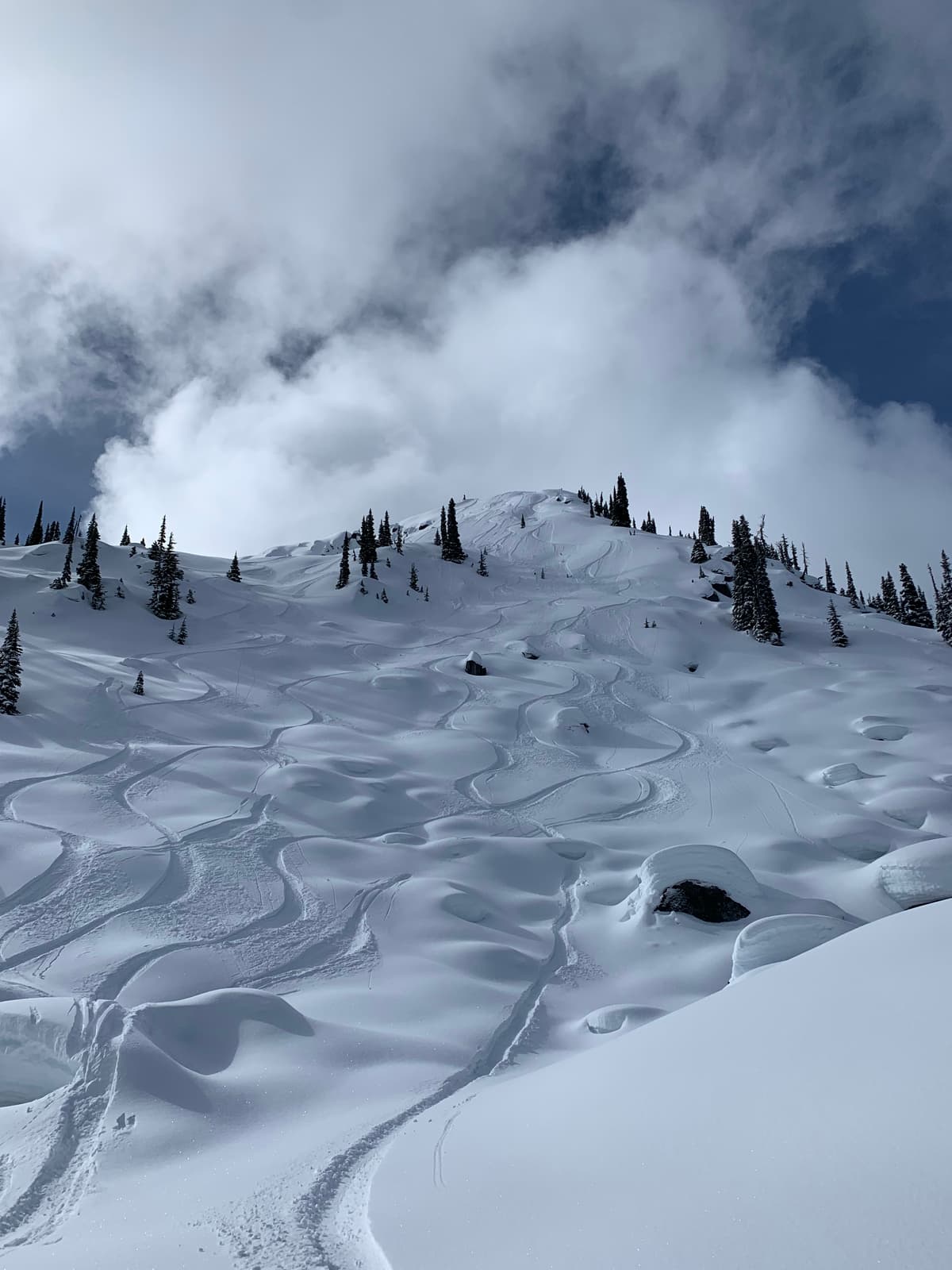Many loose dry avalanches from the new snow