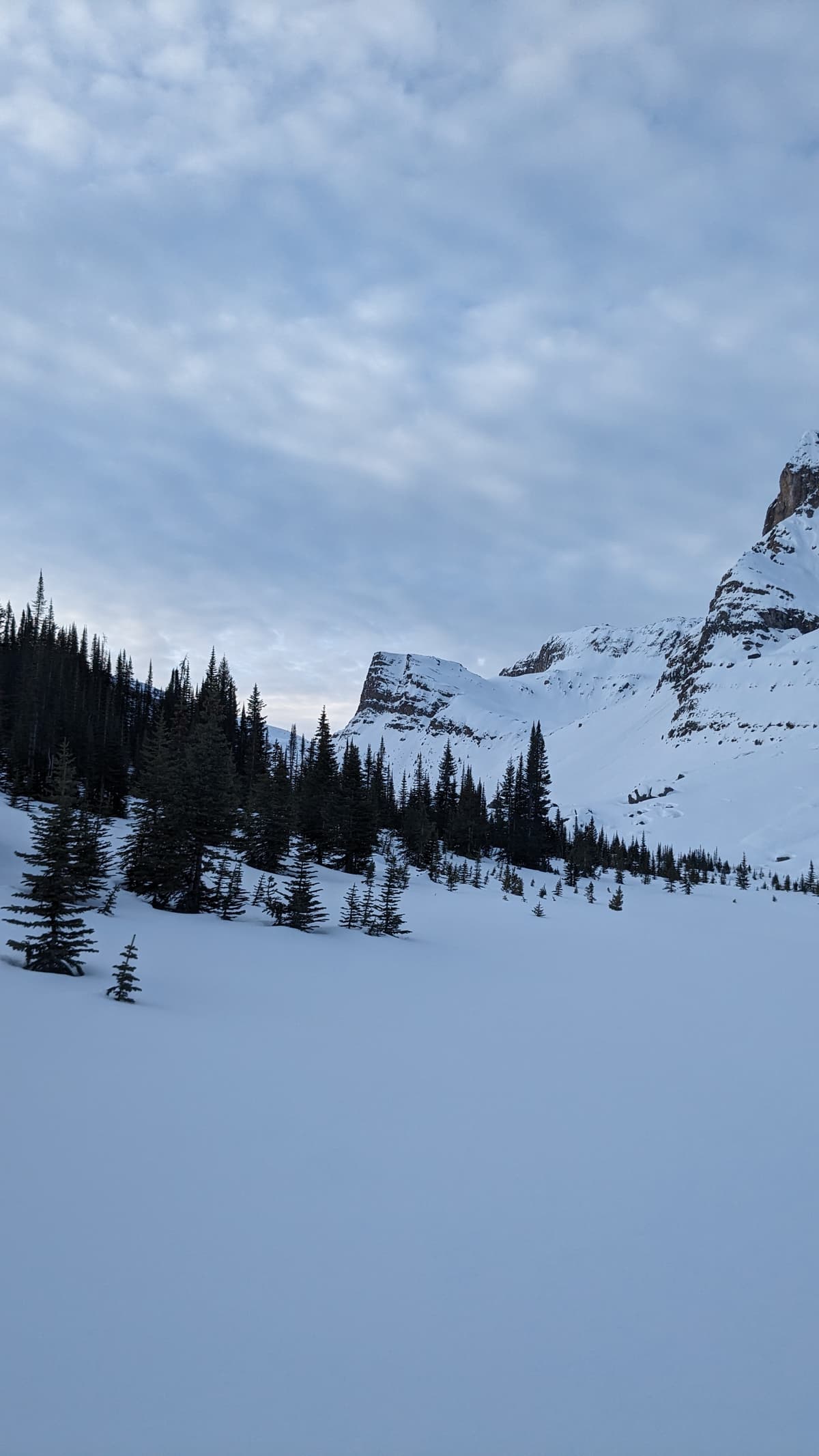 Backside of Noseeum Peak