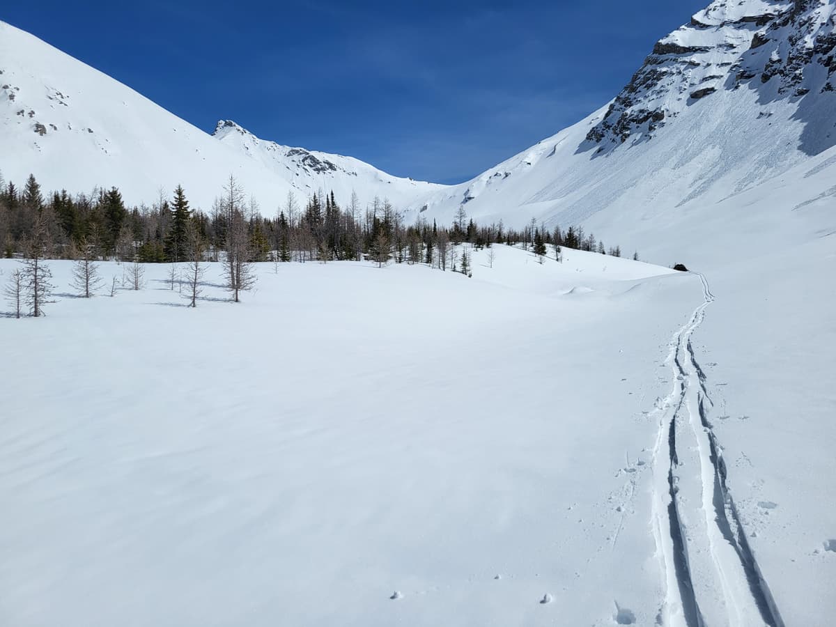 West aspects of Buller south pass
