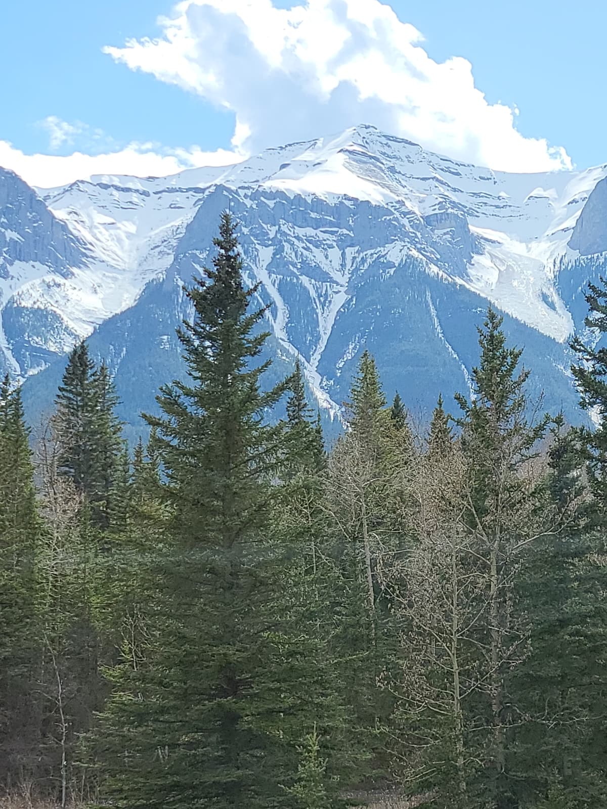 Size 3.5 wet slab on Mt Rundle