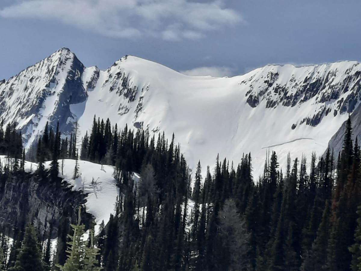 Marlborough glacier 