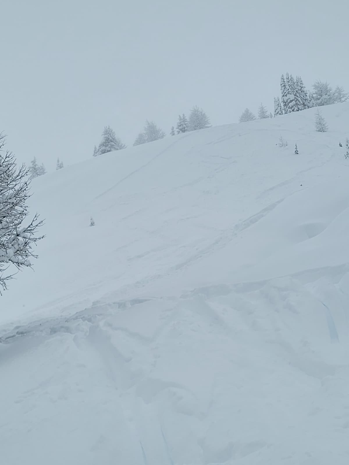 Skier triggered storm slab on the 18th