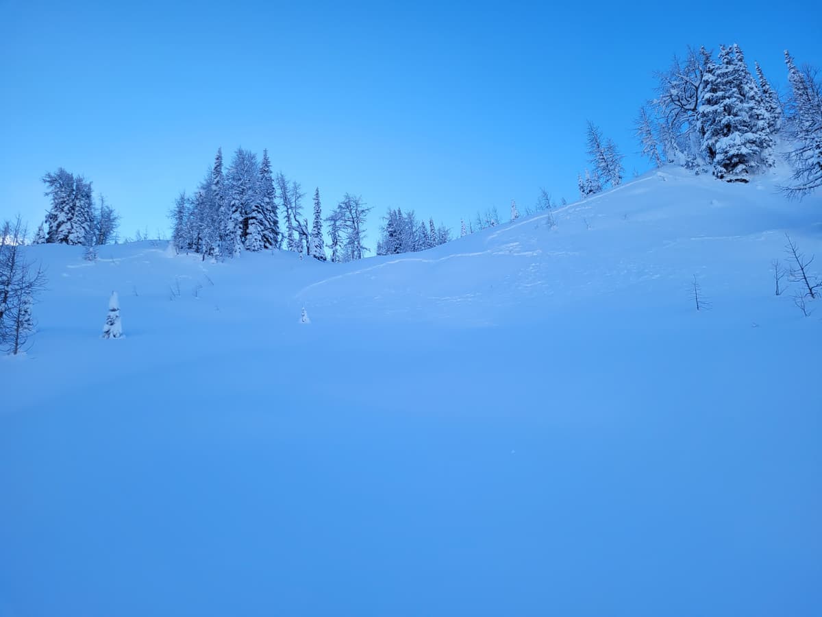 Natural storm slabs observed on the 19th