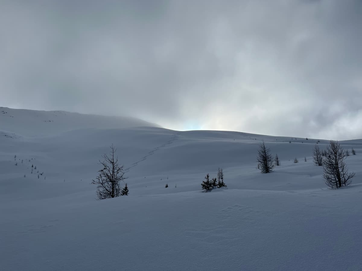 North aspect @ Wolverine Valley.
