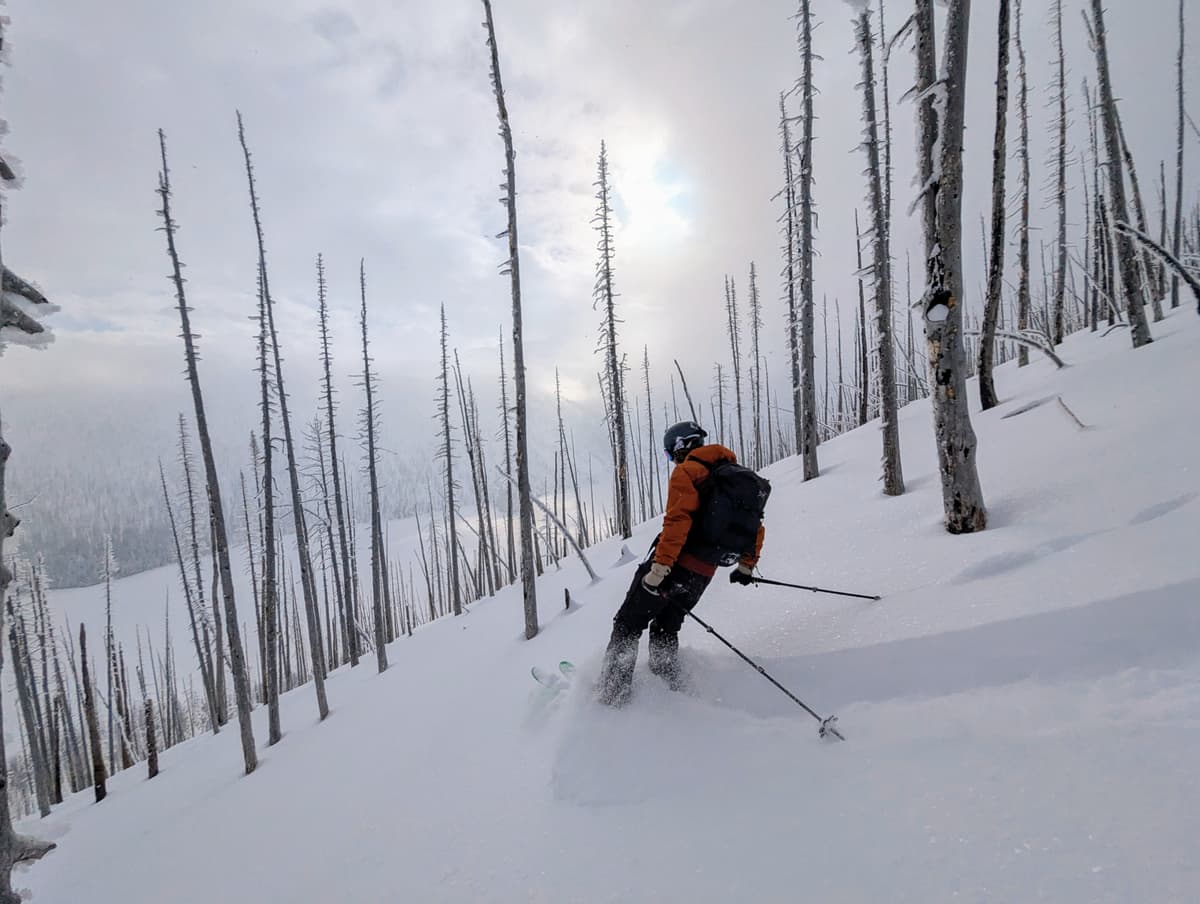 Good enough for riding, still watch out for buried logs towards lower third