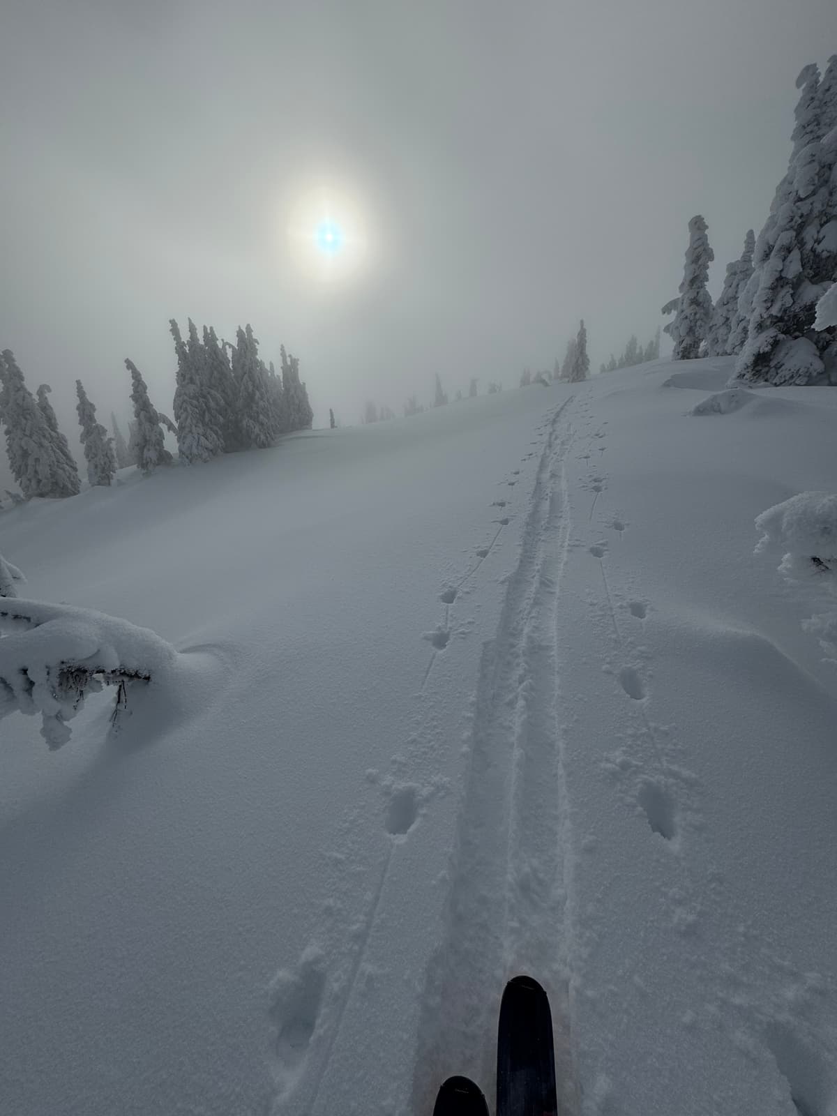 Skinning along ridge top at 2000 meters