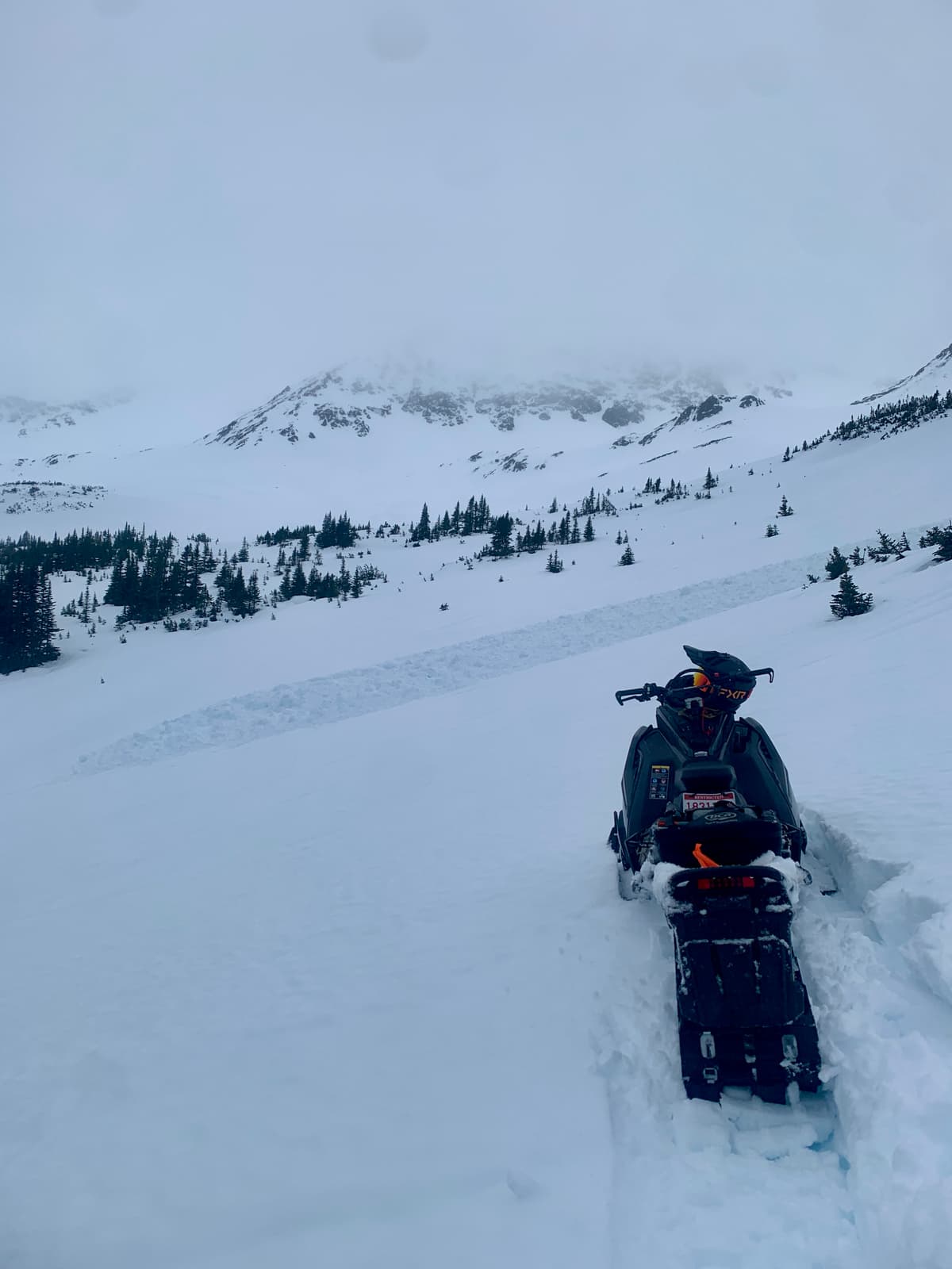We observed older avalanches from the previous 3 days. 
