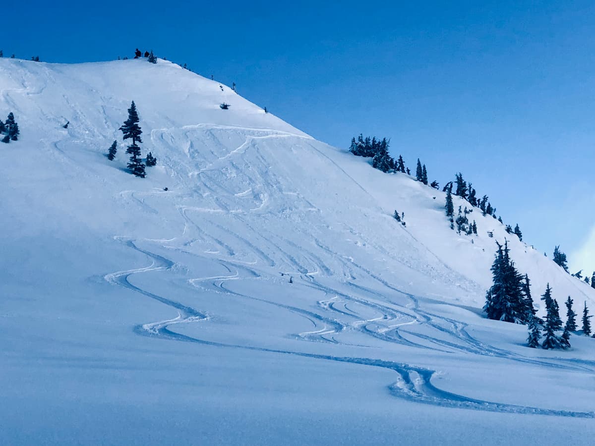 Small snowboarder-triggered size 0.5 shallow crown (~10cm). 