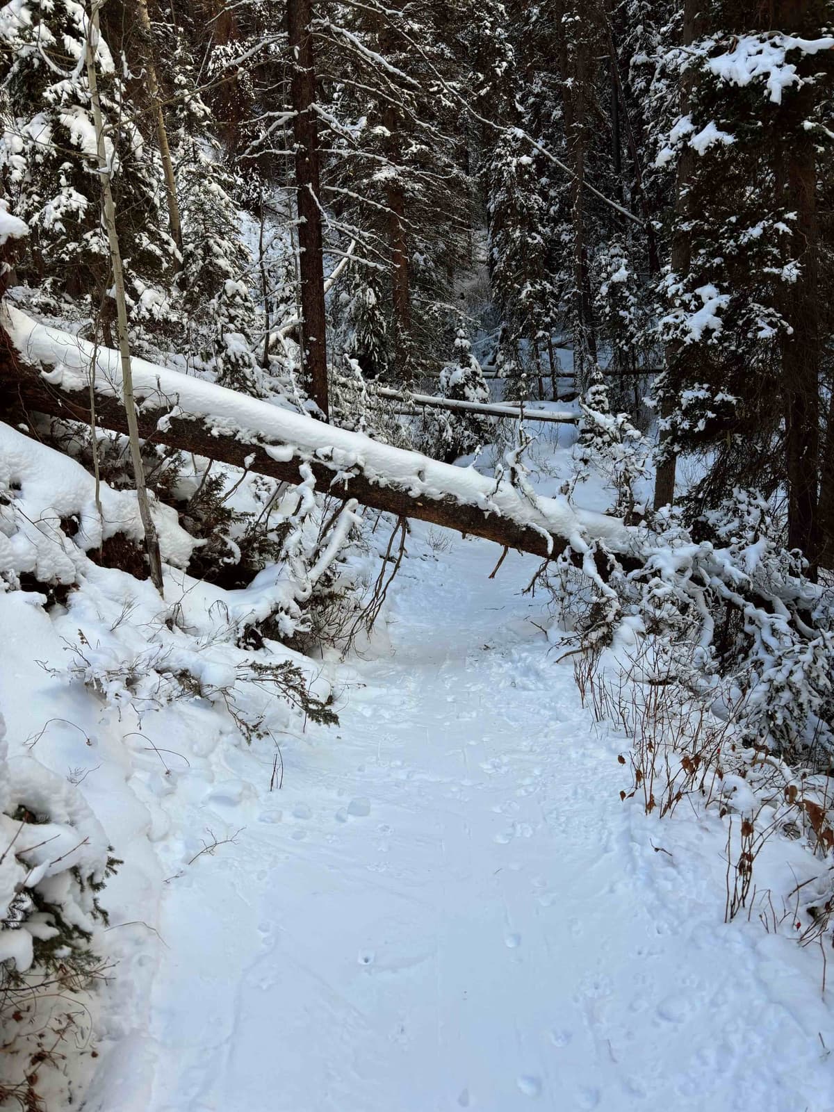 The uptrack close to the parking lot. 