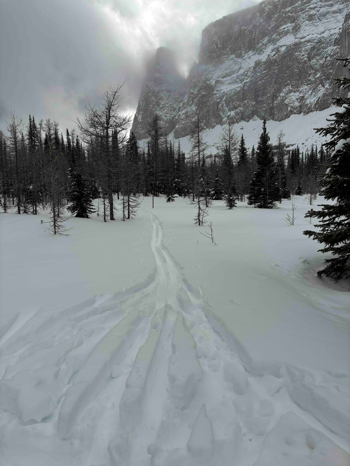 Ski penetration was 25-30cm on unconsolidated snow