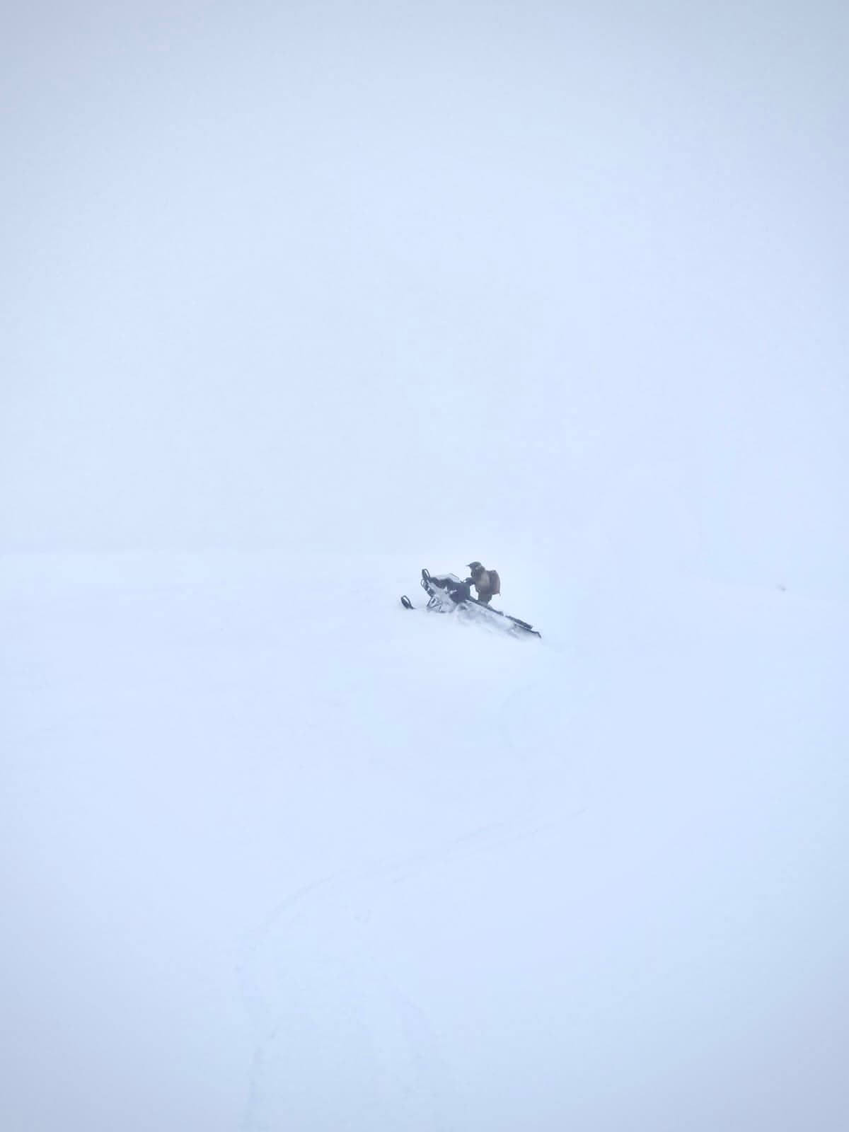 Riding in the clouds meant that we couldn't see much for observations. After testing some slopes we retreated to the trees in hopes of finding soft snow and some definition. 