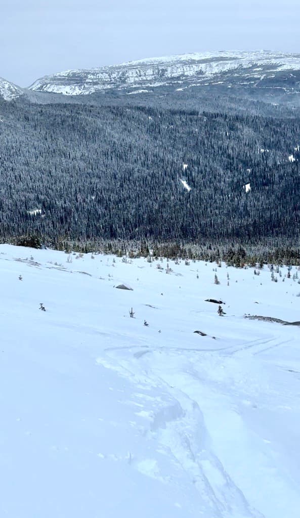 Scoured alpine ridge