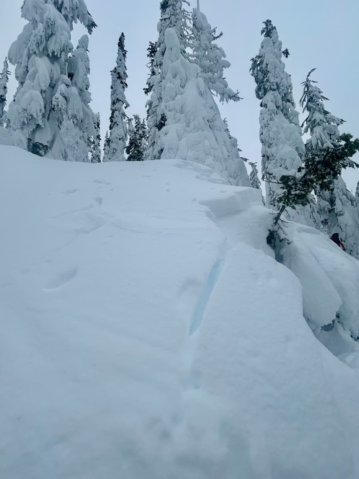 Lots of cracking from yesterdays storm. Not reactive to skier traffic today