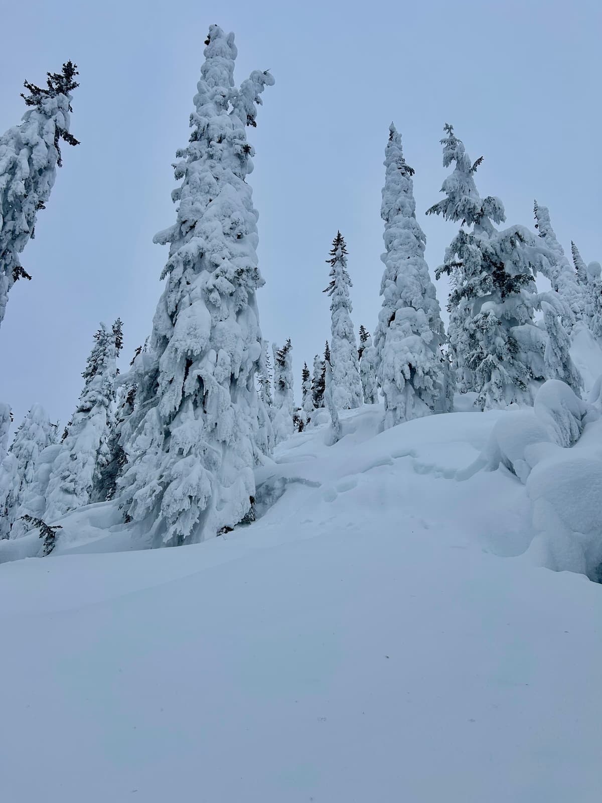 Storm slab cycle from yesterday