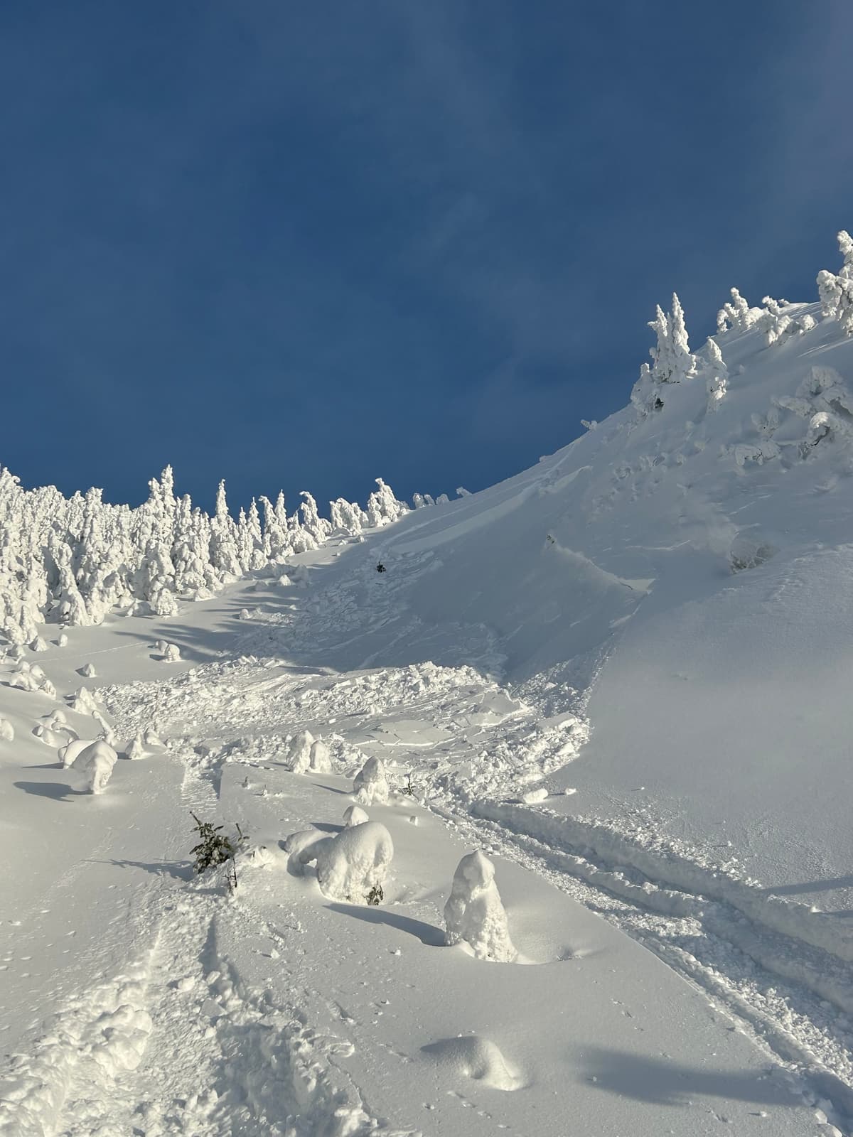 Small size 1 on a West Asp at 1630m in a wind loaded pocket down 45cm just above the Dec 6 crust 