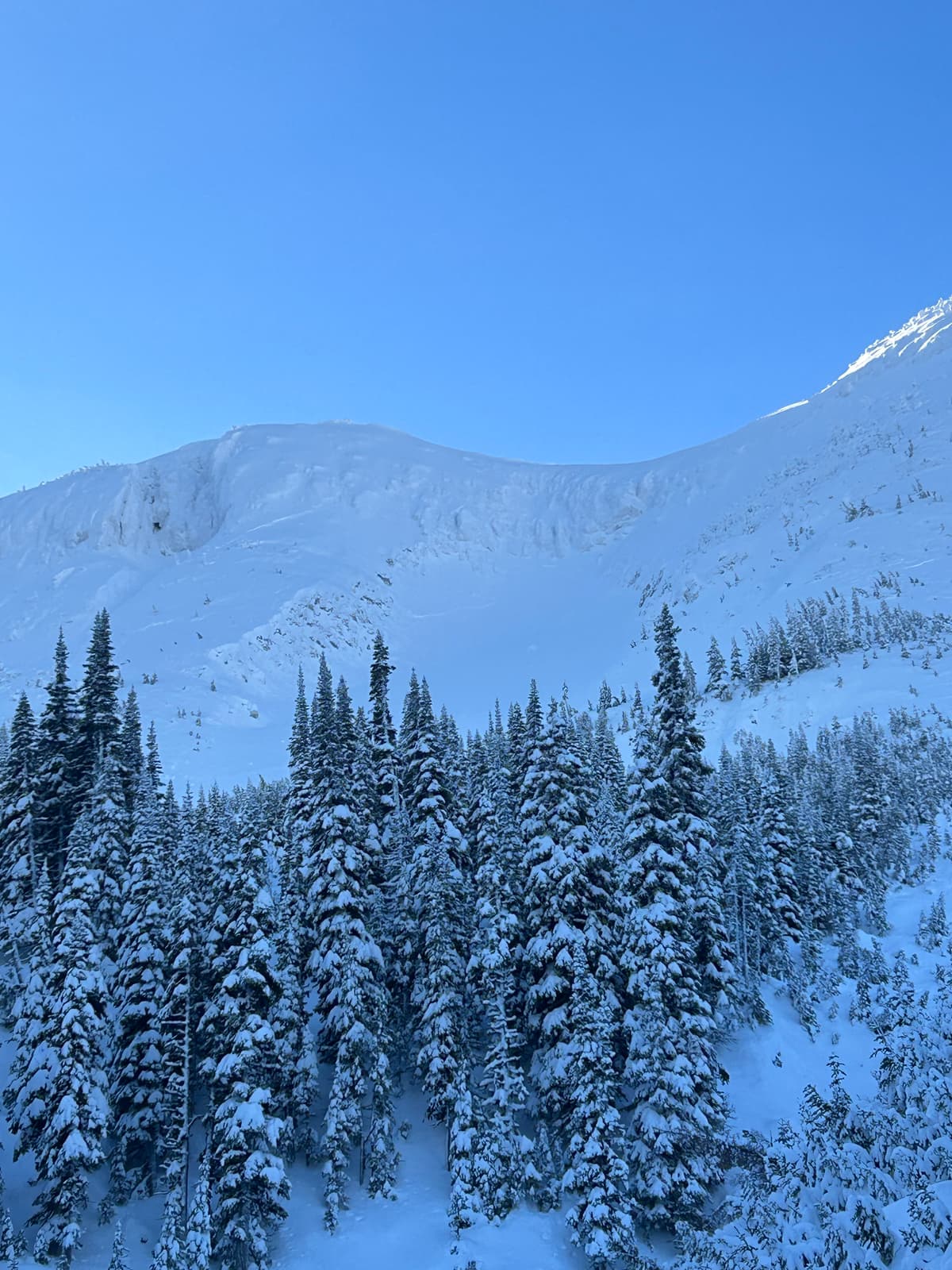 Some old wind slabs