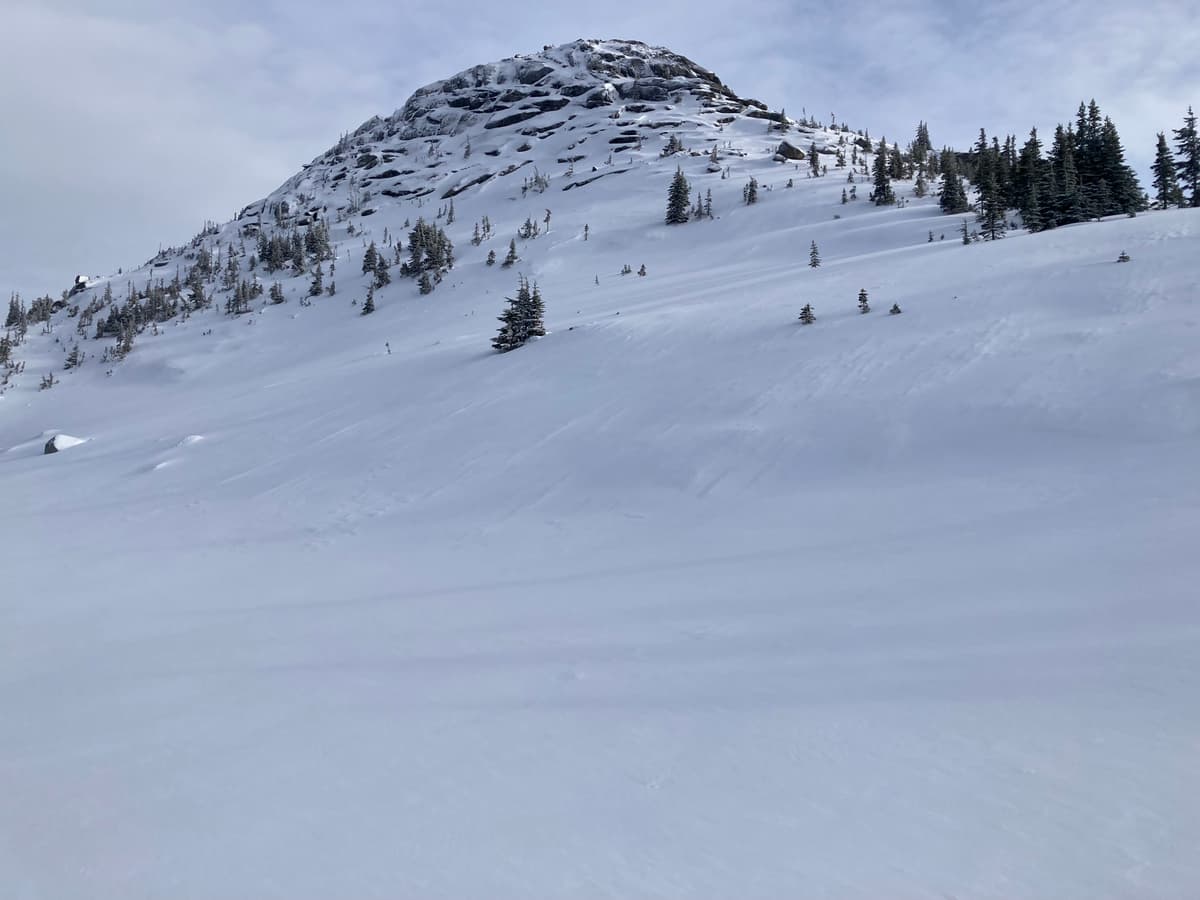 Looking up in the direction of needle peak summit, from the col.