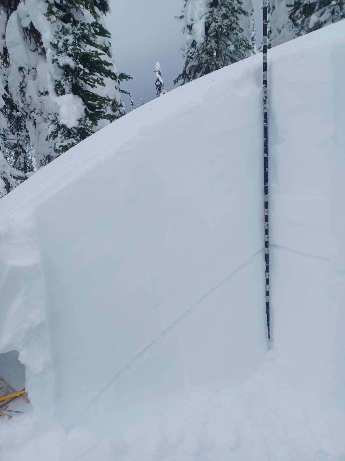 North aspect @ 1850m. Dec. 11 SH sz 3-6 down 50cm. Dec. 7 IFrc/MFcr/FC combo down 60cm. ECTP 29 down 50 on rounding SH.
