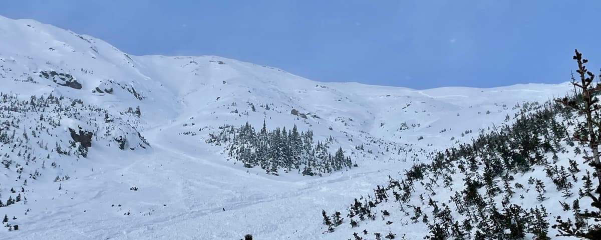 View of crown line from the bottom