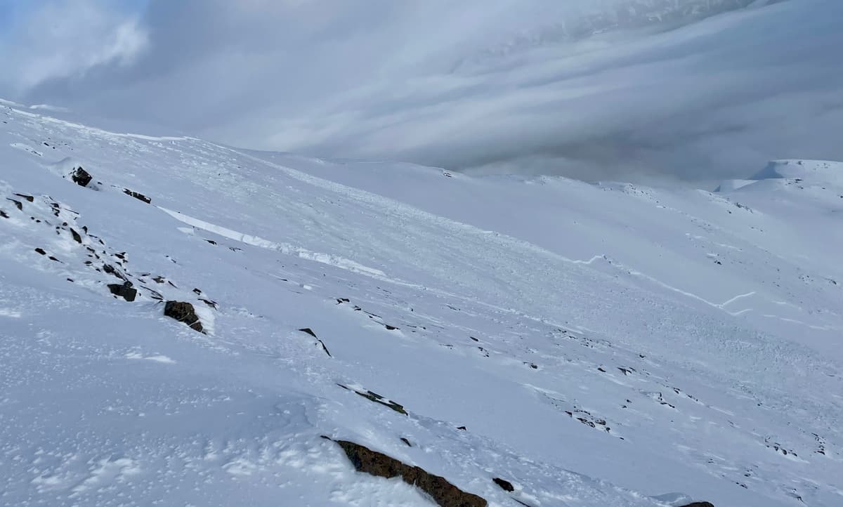 Top of the crown