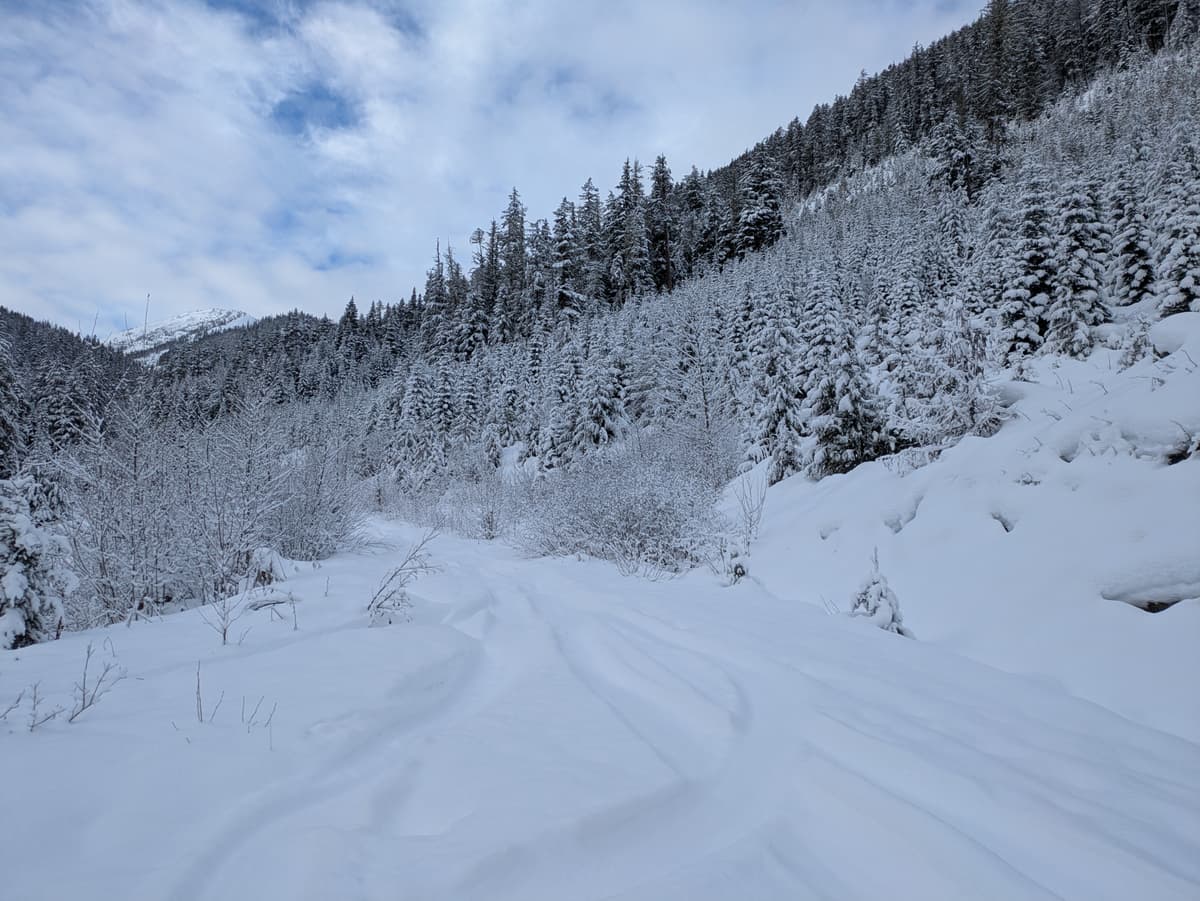 Snow conditions improved dramatically past 1000m. 