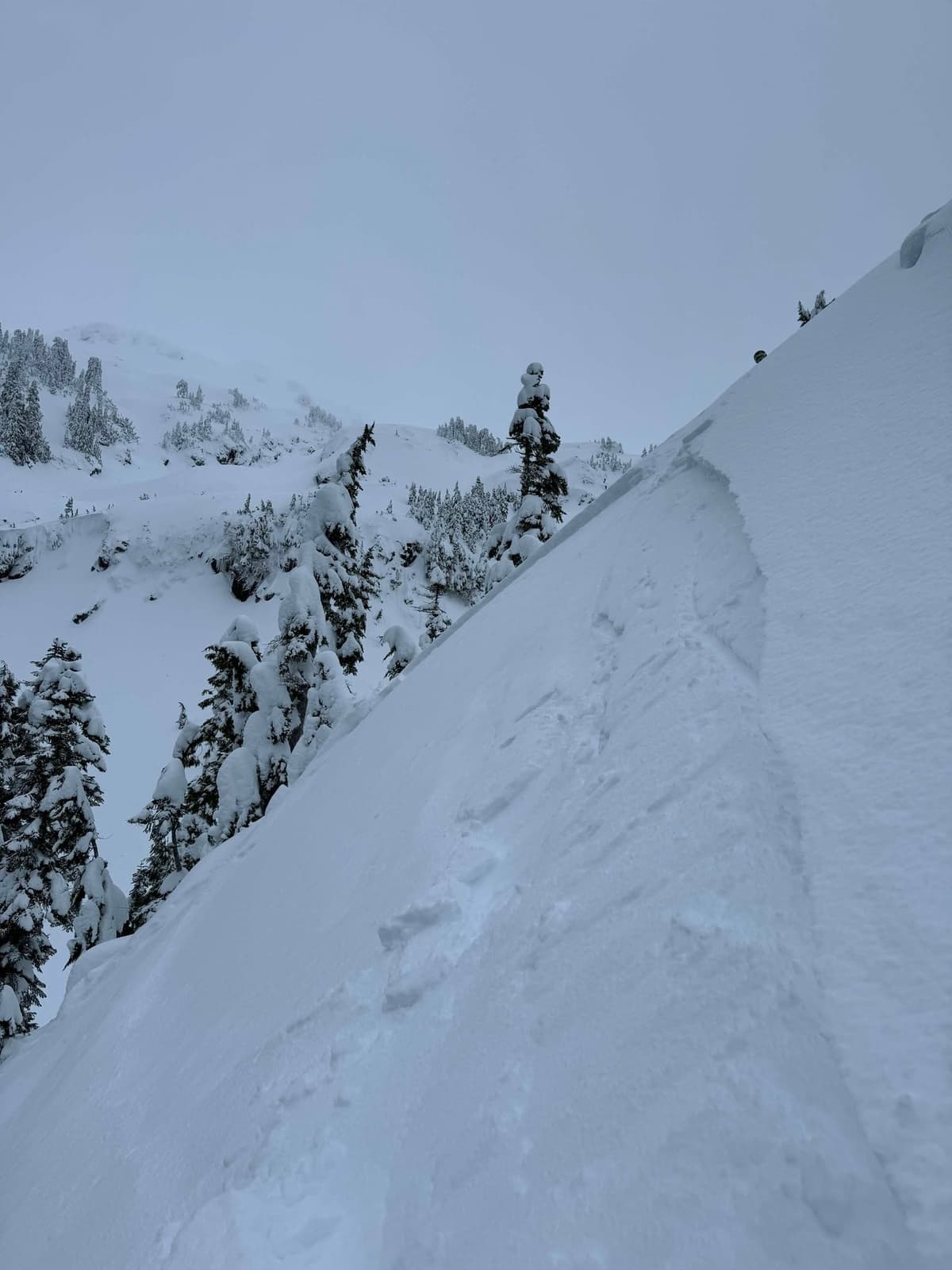 Skiing triggered slide