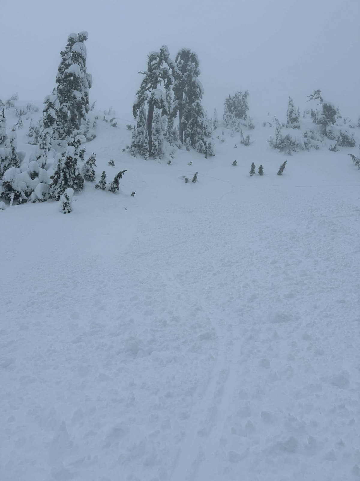 slide debris path - crown in upper left on ridge
