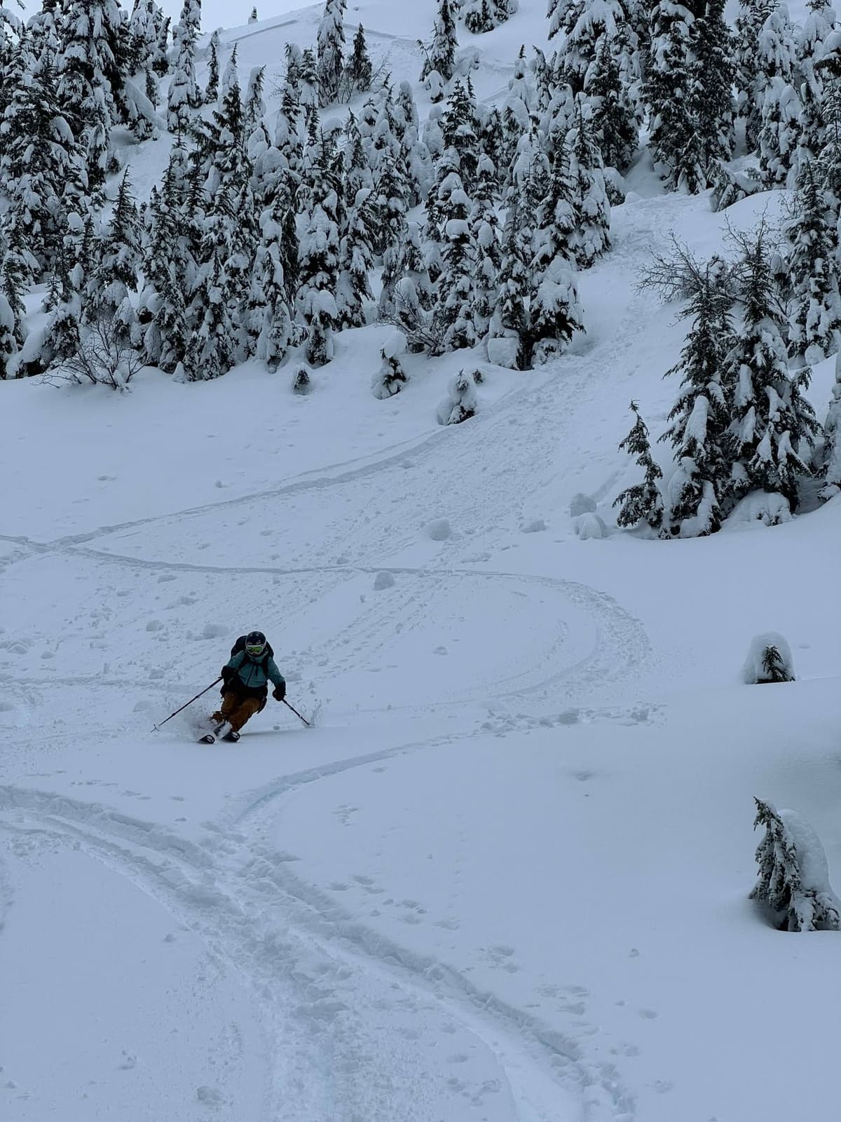 Fun Skiing in heavy snow