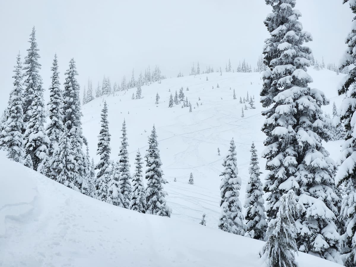 Looking West toward Zoa Peak.
Busy day on Zoa Ridge. 