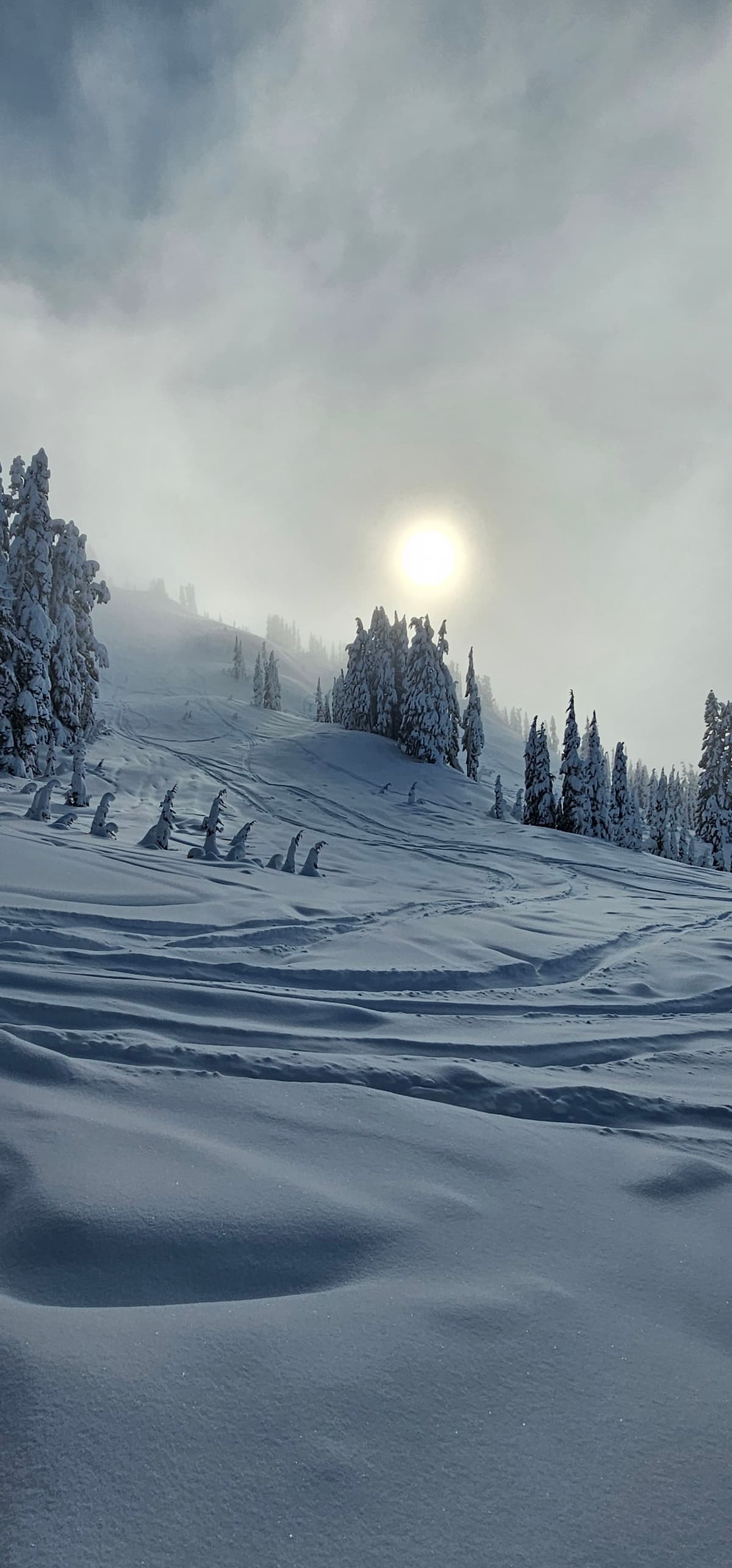 Powder is still very soft.