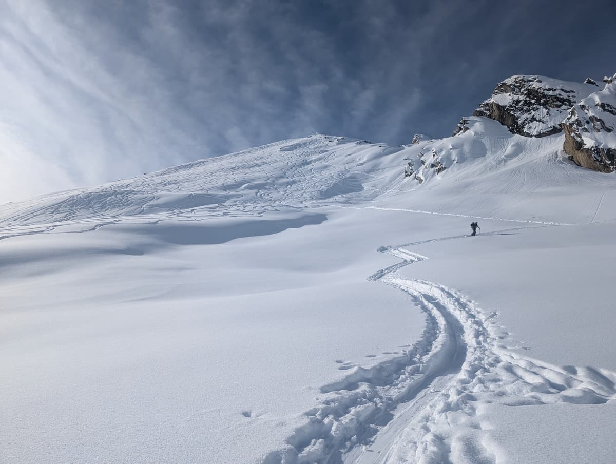 Note the tracks - is this the ski resort? 