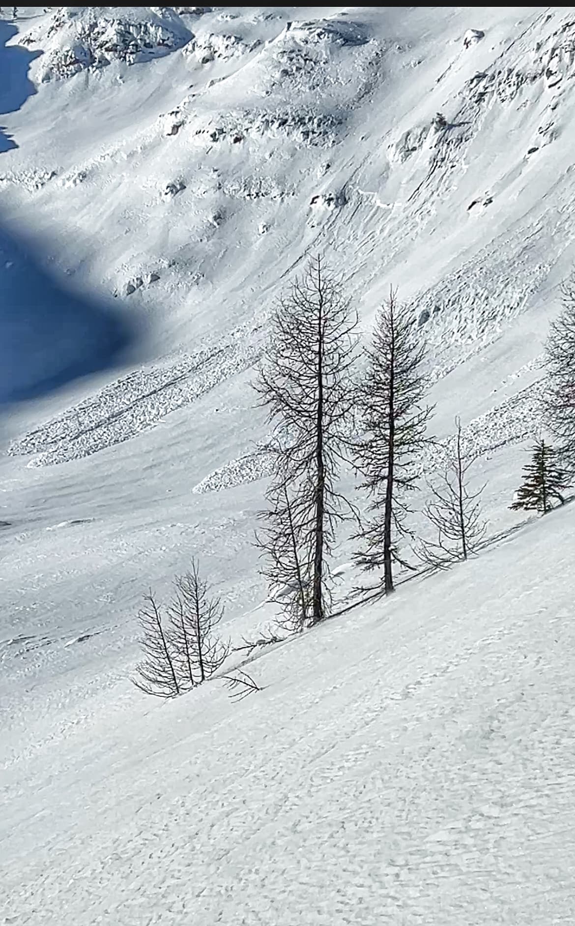 Size 1 natural wind slab avalanches on solar aspects in the alpine