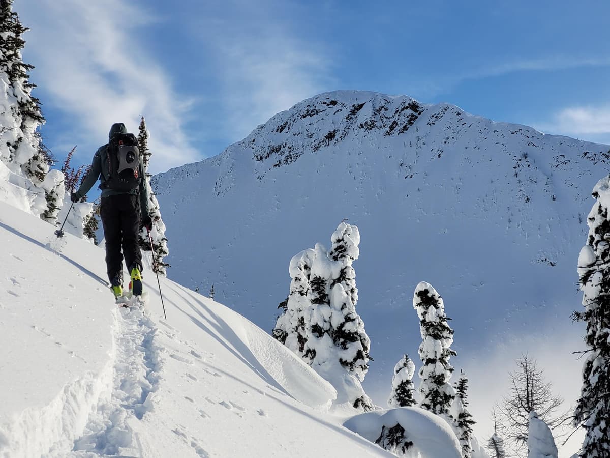 Crusts on solar and dry pow everywhere else. 