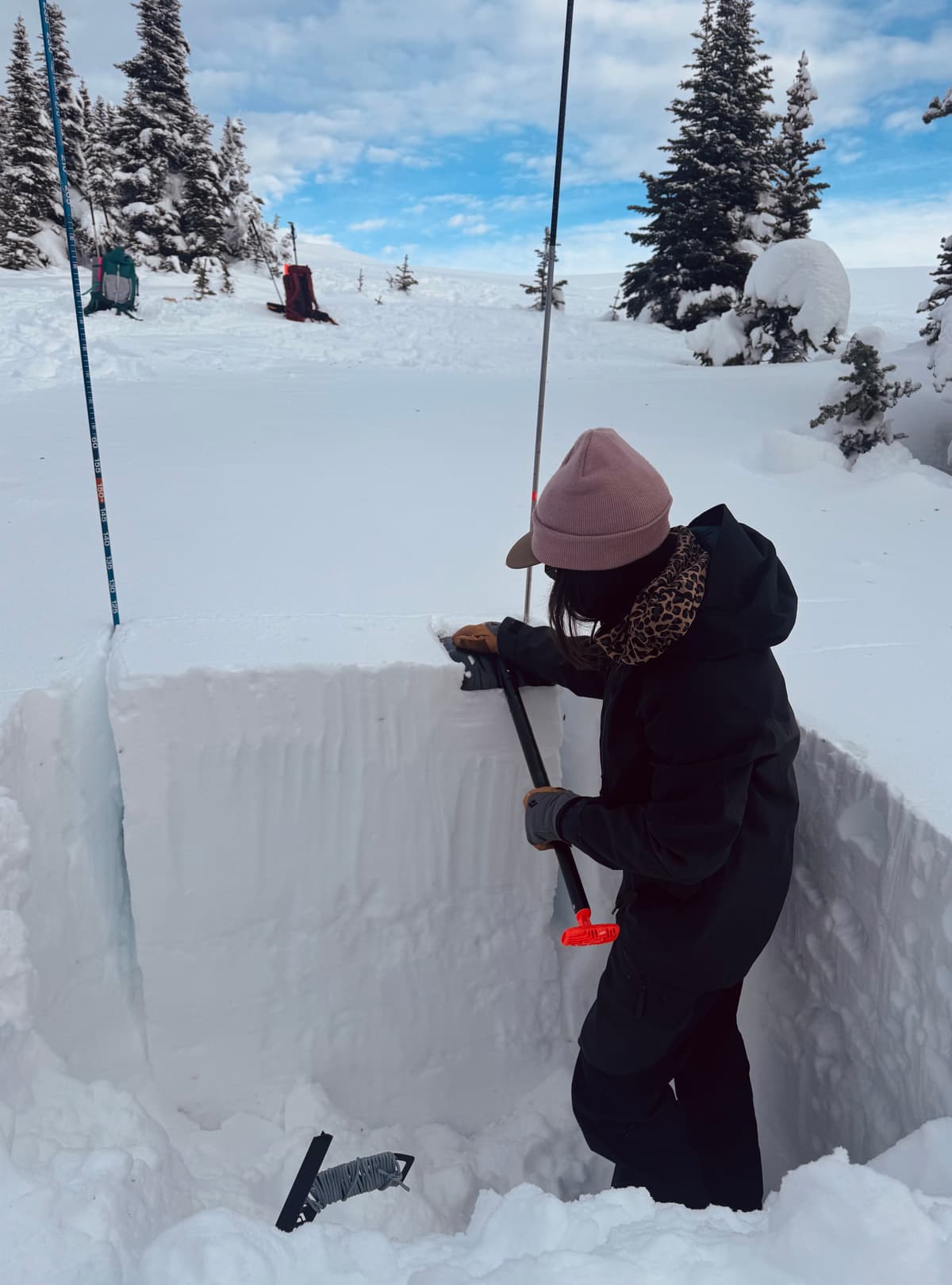HS at 1600m is around 120cm and the early-Dec crust is down 60 cm. No results on ECT.