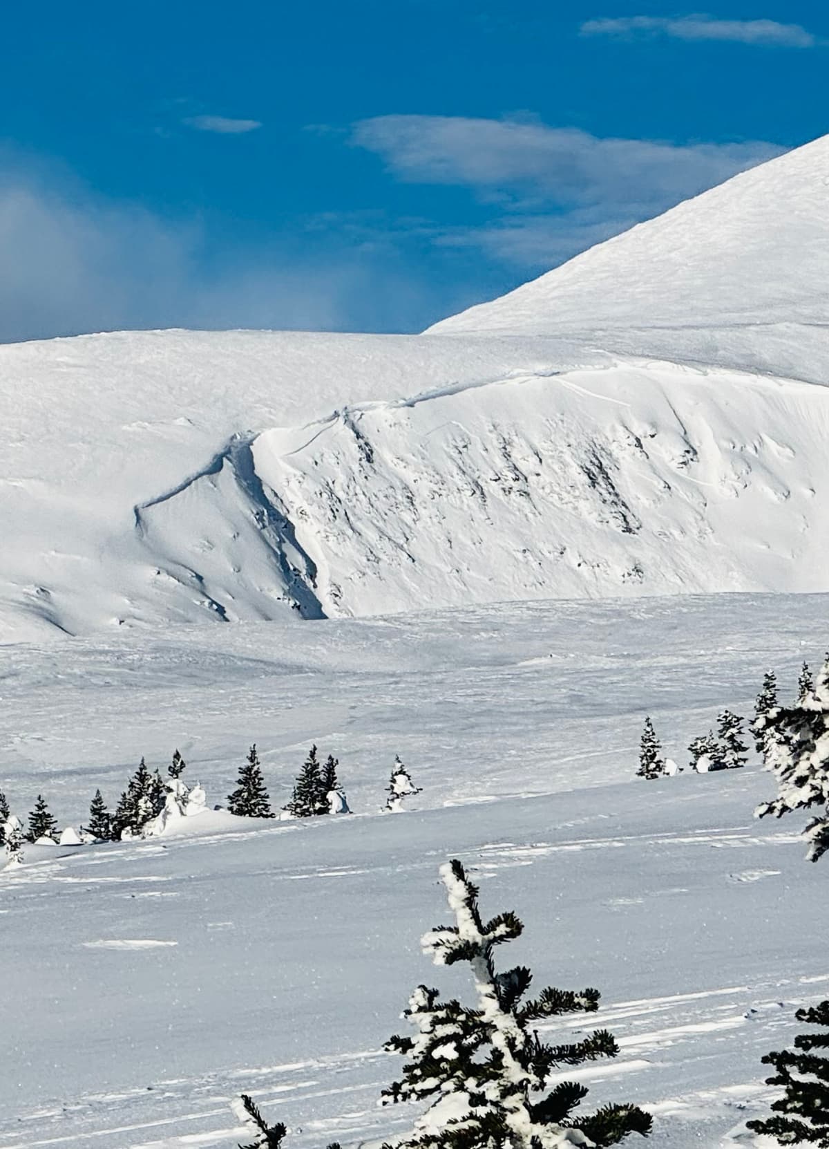 Recent avalanches in steep, east-facing alpine terrain. It looks like a wind slab may have stepped down to the persistent layer. 