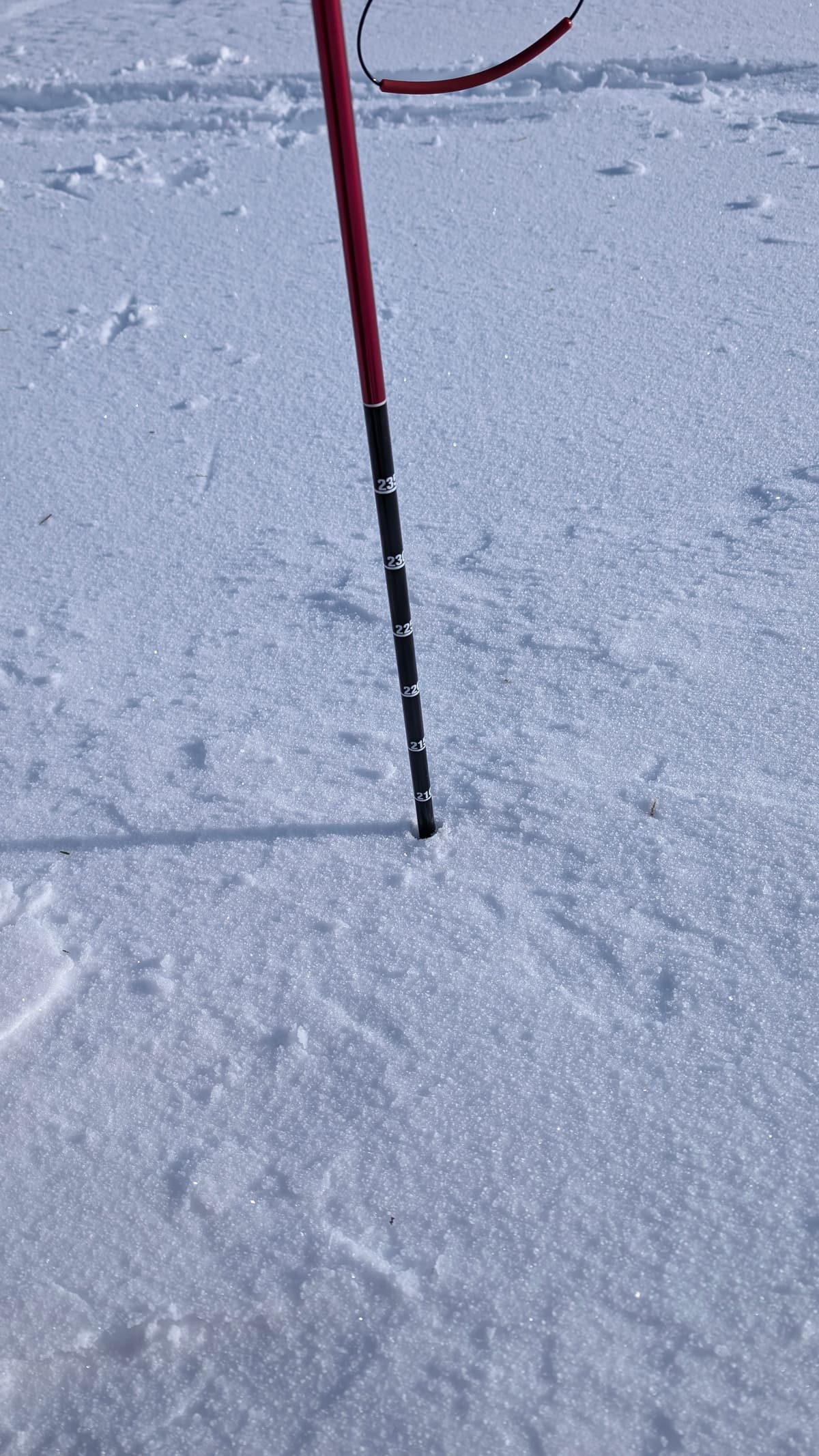 Approximately 210cm snow depth - Meadow 1250m