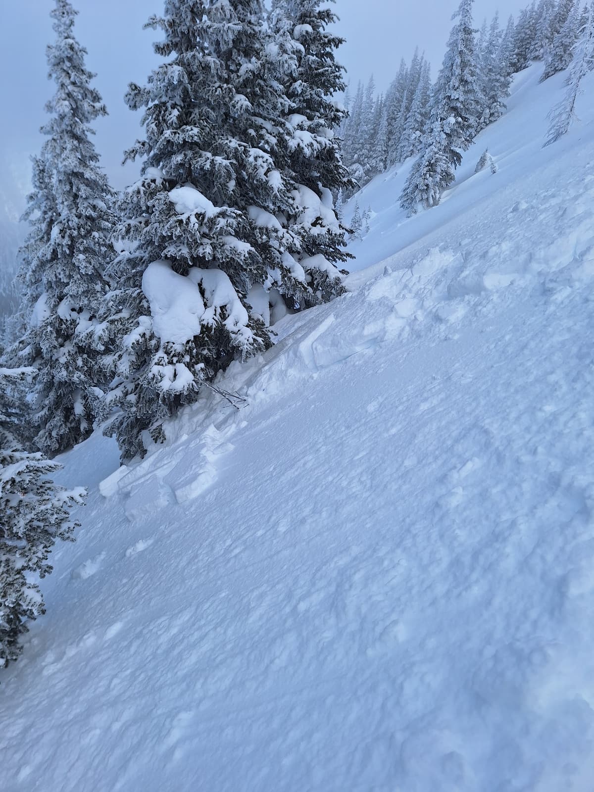 Wind slab at 2350m, west aspect crossloaded by NW wind over micro terrain ridge