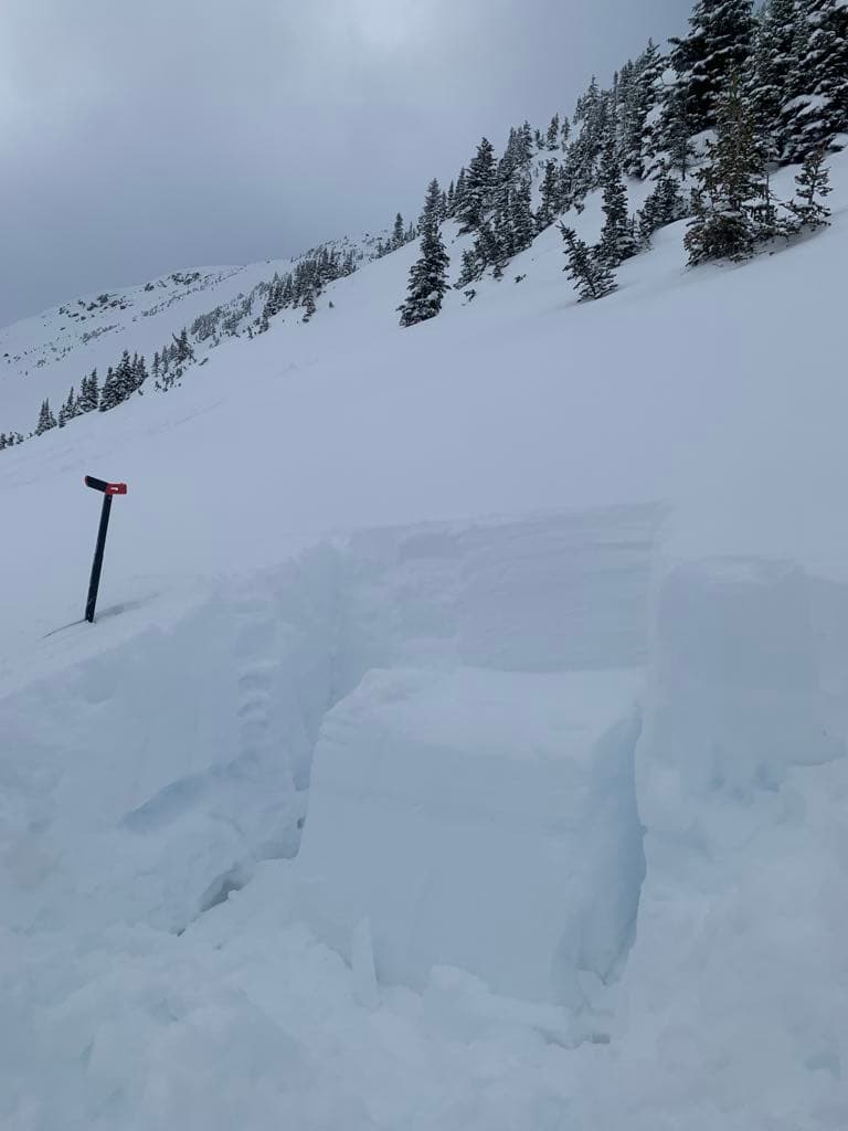 ECT on a southeast facing slope. Top of the block was removed by hand after resistant planer failure