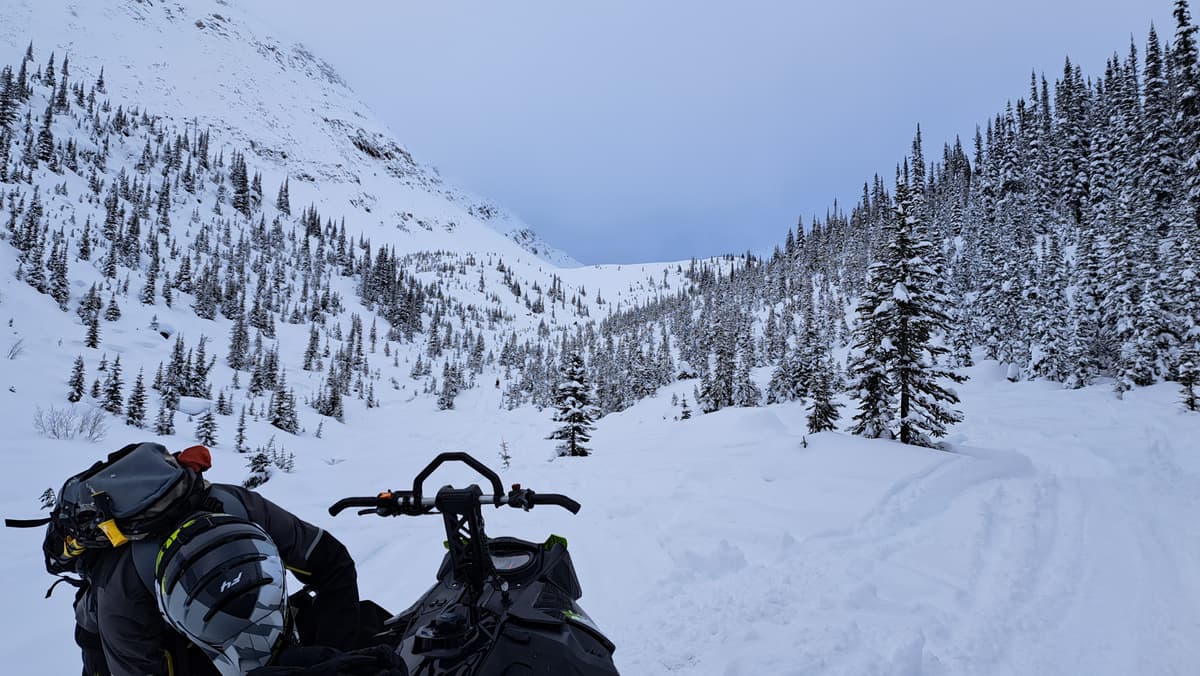 Near the end of the trail before getting into the alpine