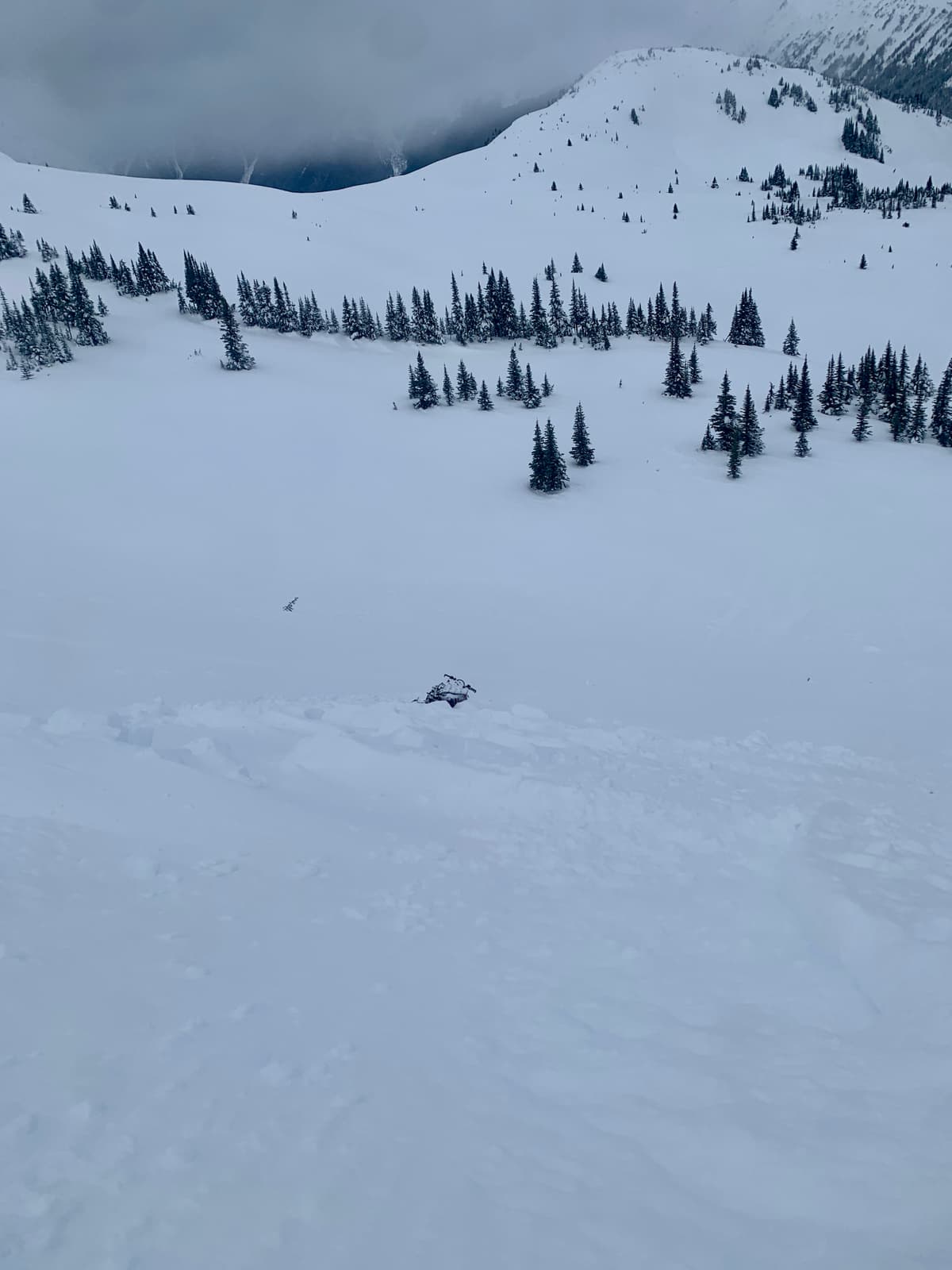 Found snowmobile in previous sz 1 machine accidental. 