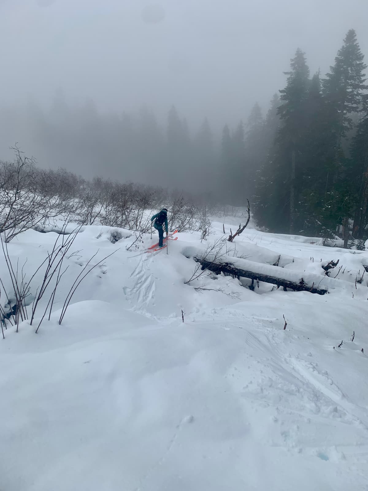 Skied like early season. 