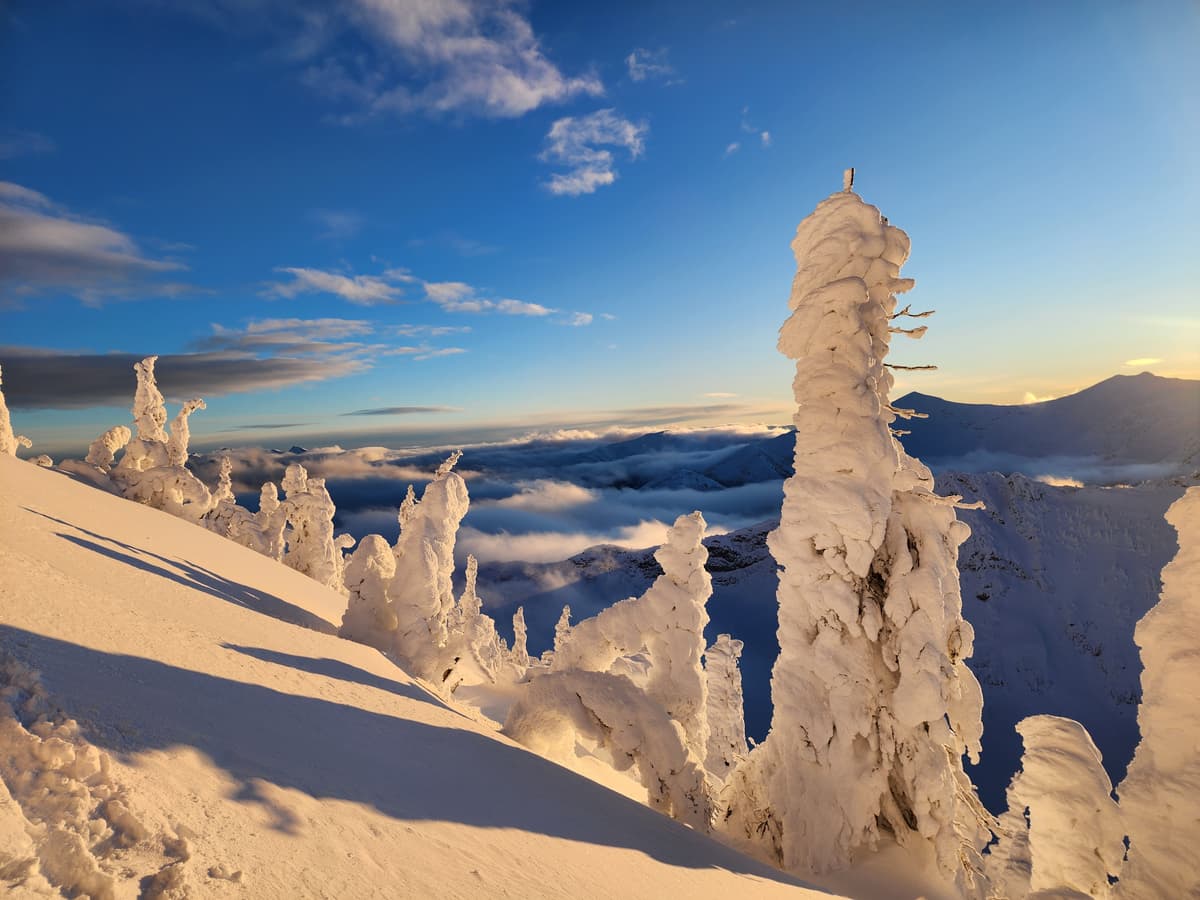Gladed trees on SSW of big steep