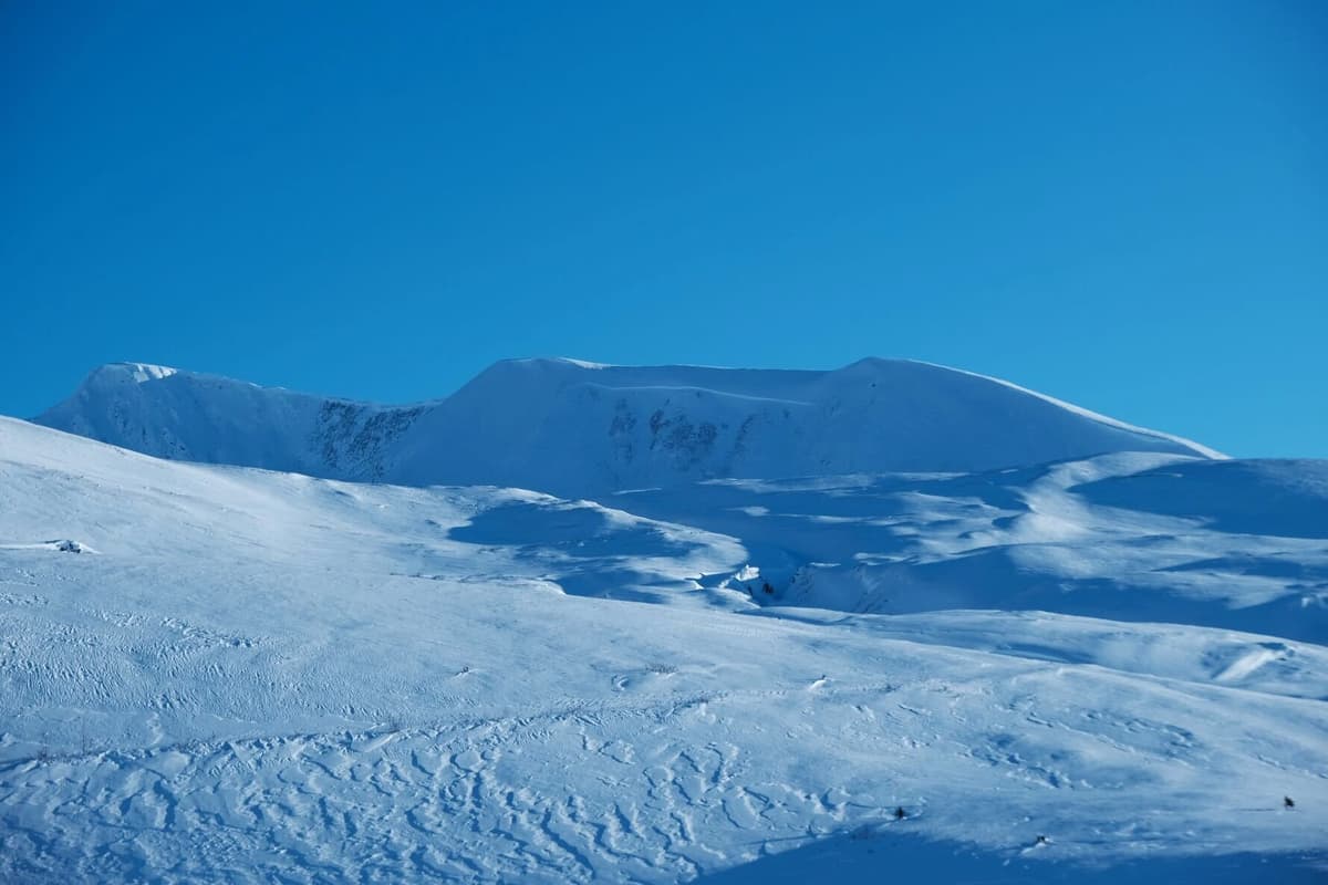 Crown lines of a large un-supported slope near Glave SE4 on an N-aspect 1600m viewed from the highway. HS-N-R3-D3