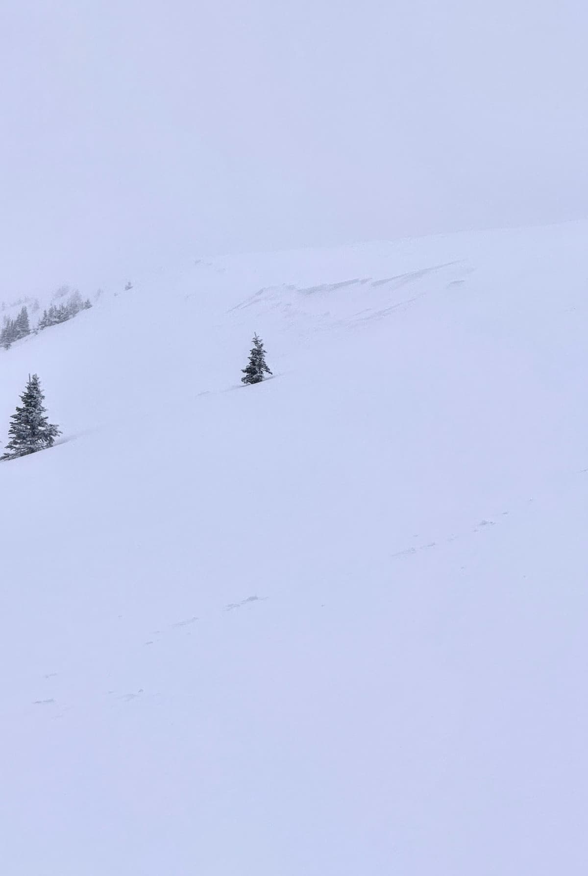 There were signs of small natural avalanches being triggered in wind loaded features in the alpine and upper treeline. 