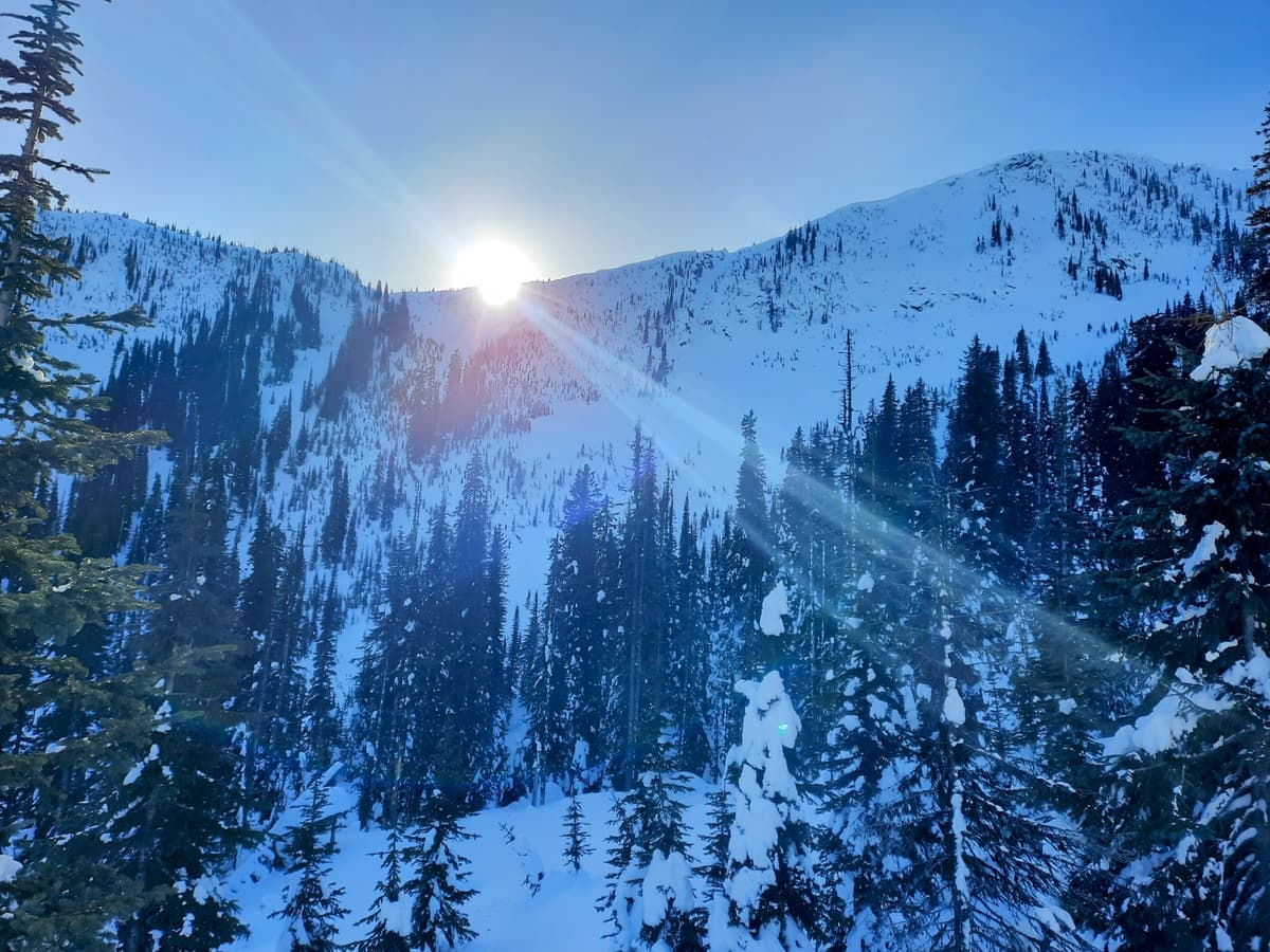 View of Plewman north face from Igloo Hut.  We skinned up through the trees just leftt of where sun is peaking behind the ridge. 