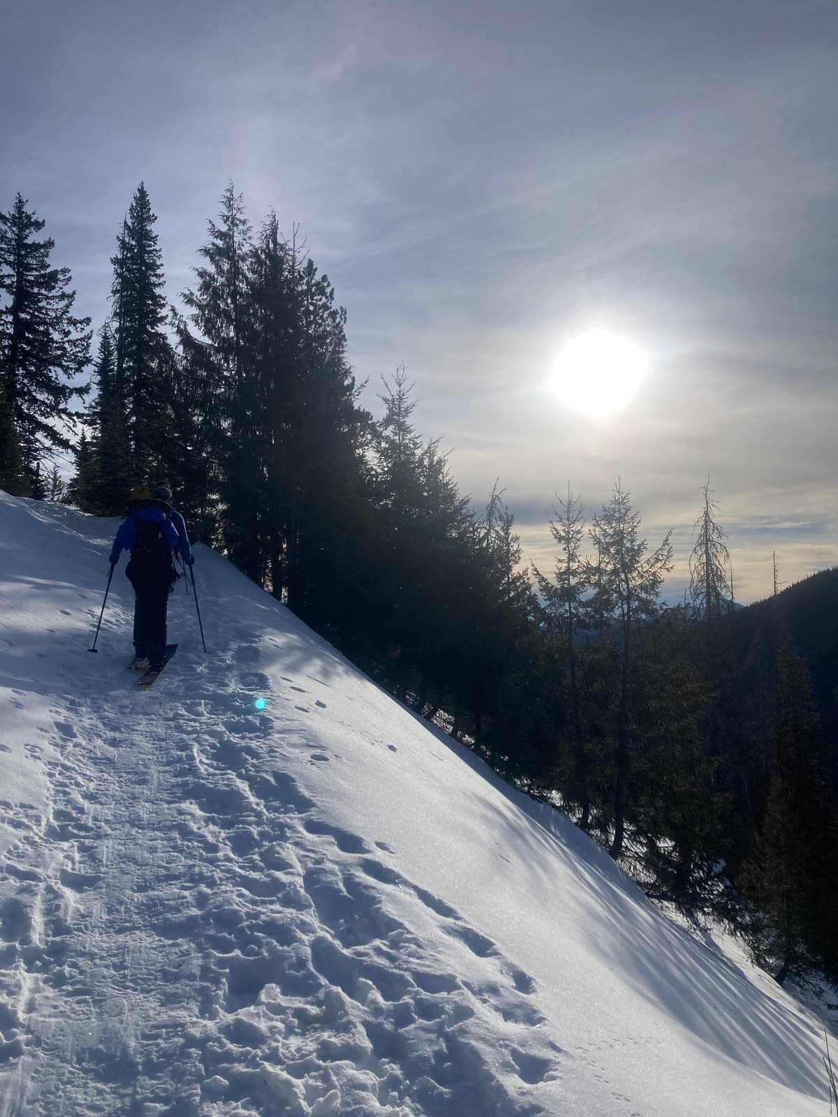 Nice trail up! Microspikes would work but skinning was pretty good too.