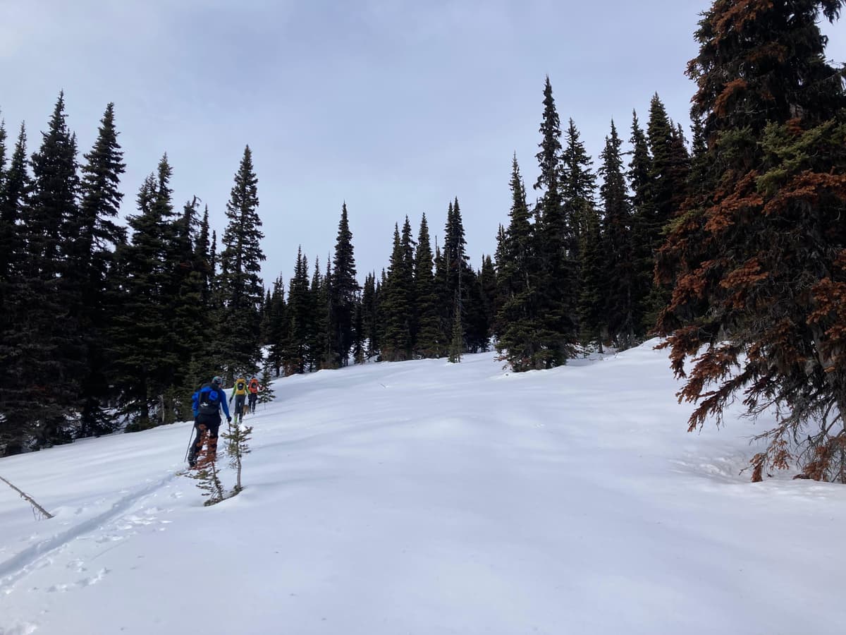 10-15 cm ski penetration up high
