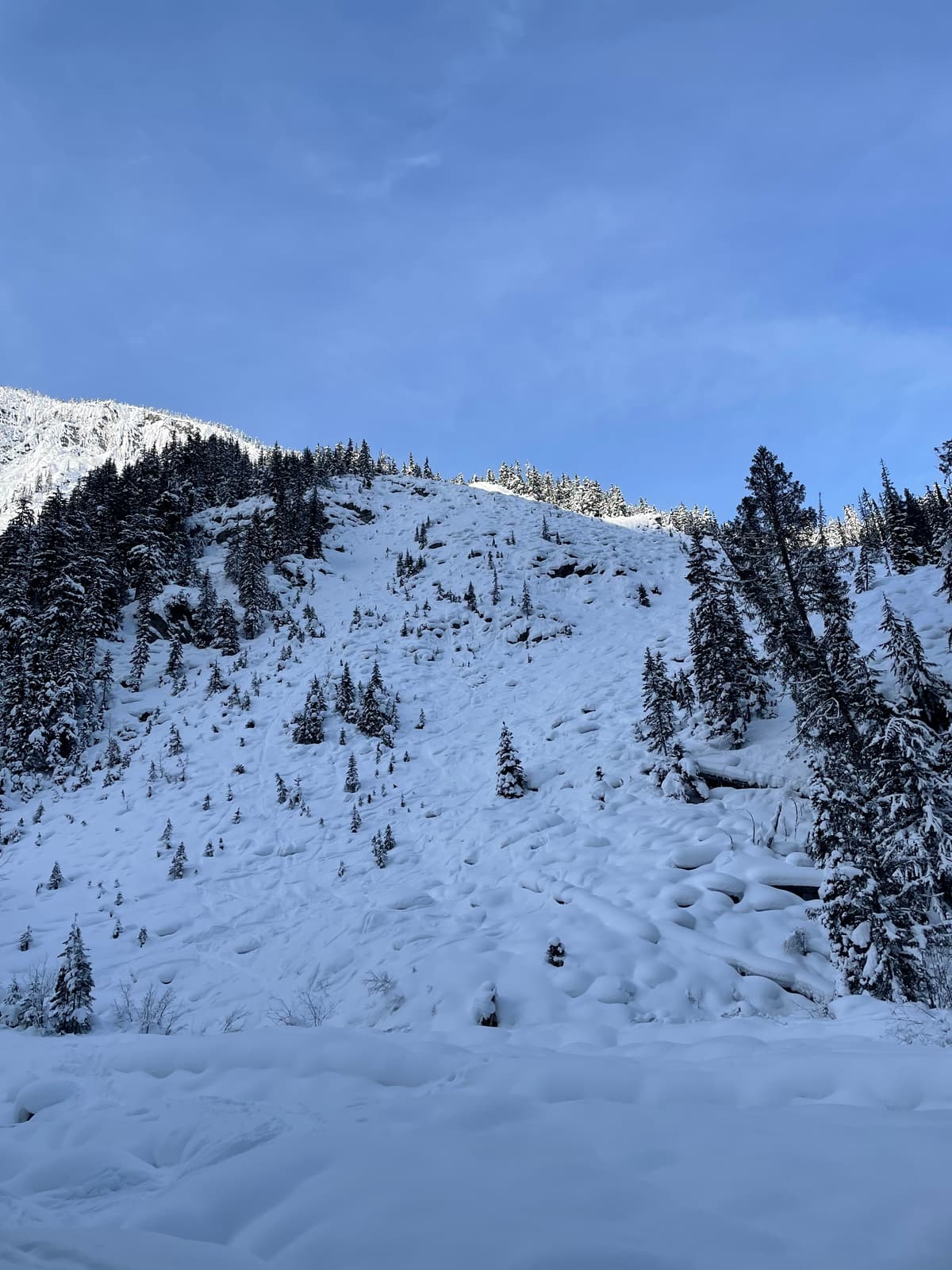 Up track and ski route down