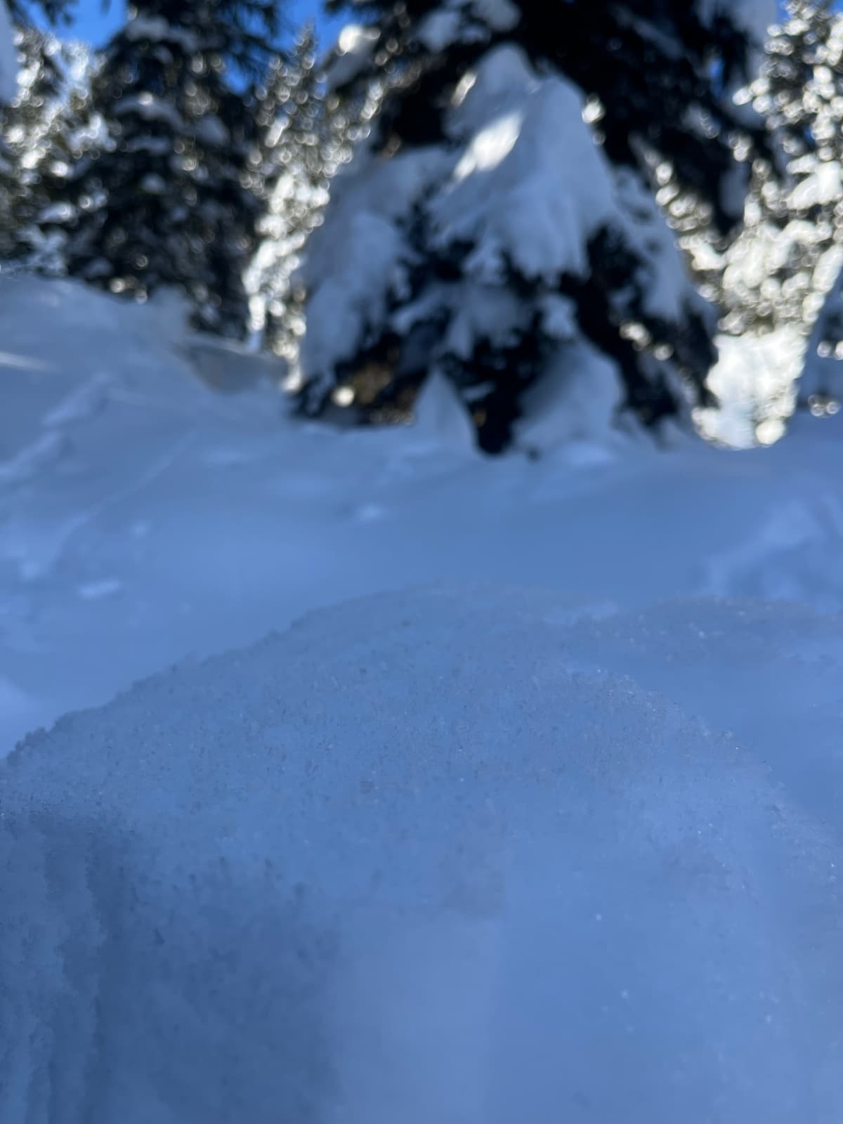 Surface hoar on top layer of snow
