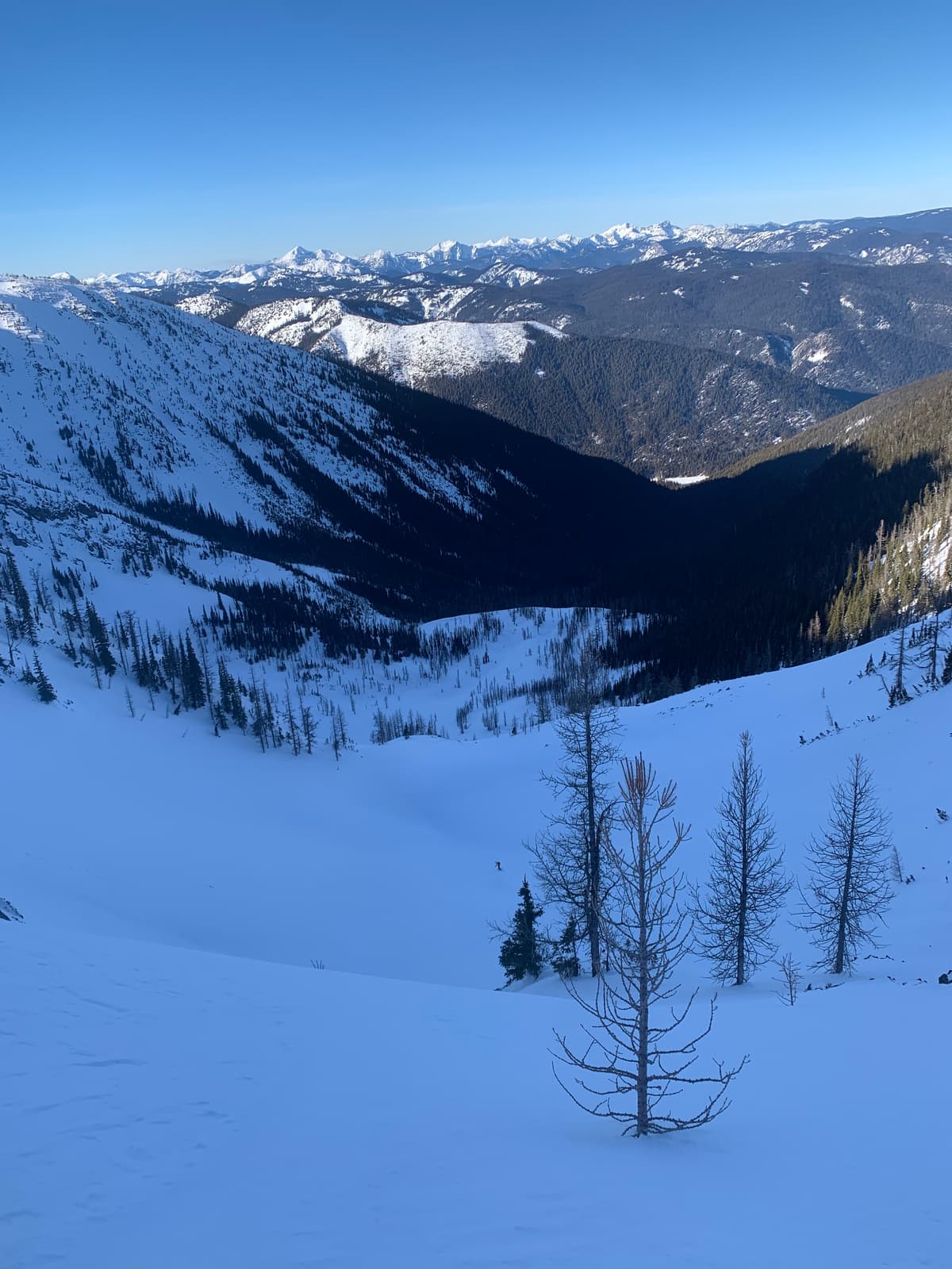 Amazing conditions down into Frosty Creek